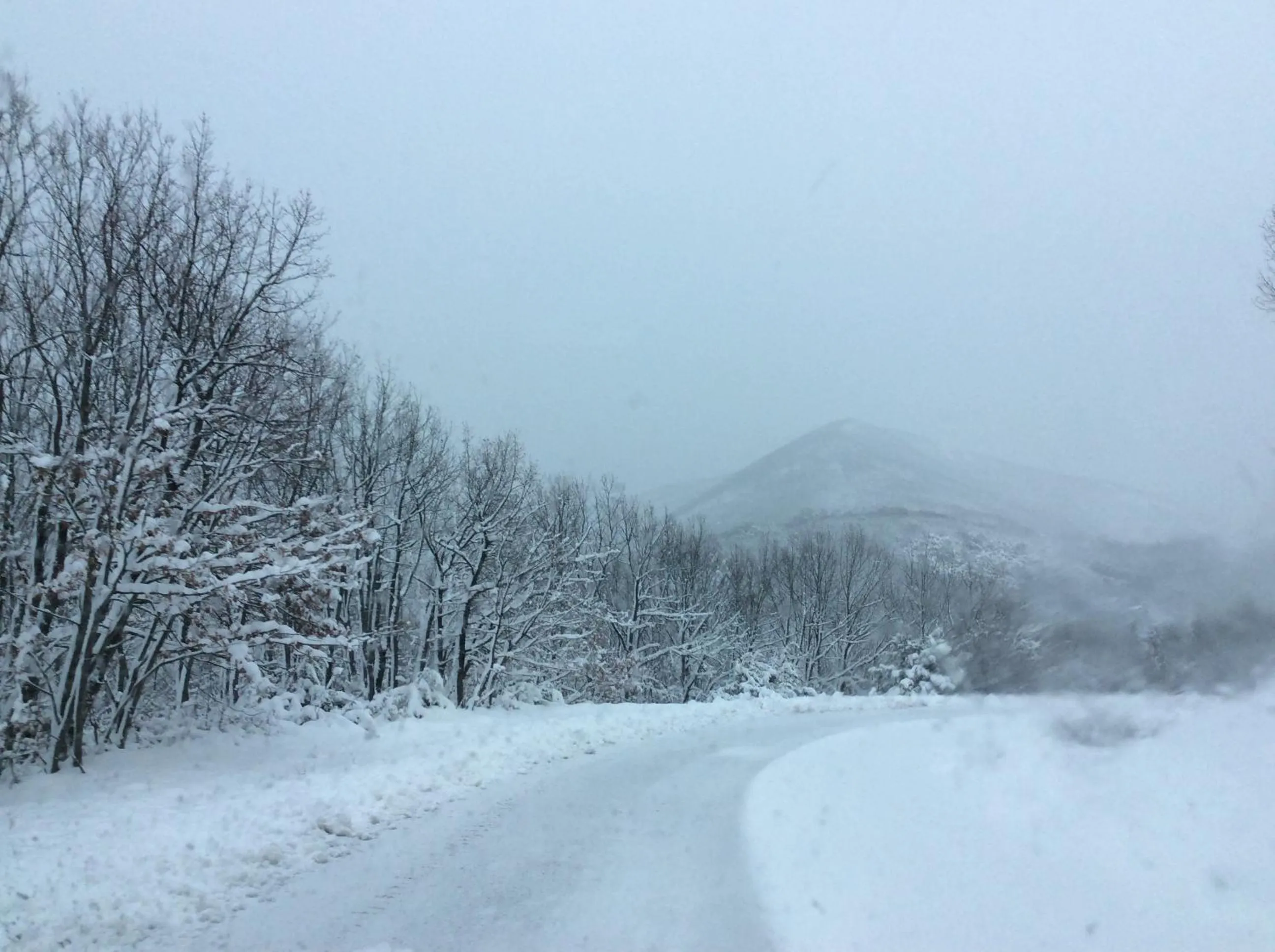 Natural landscape in Petrini Gonia
