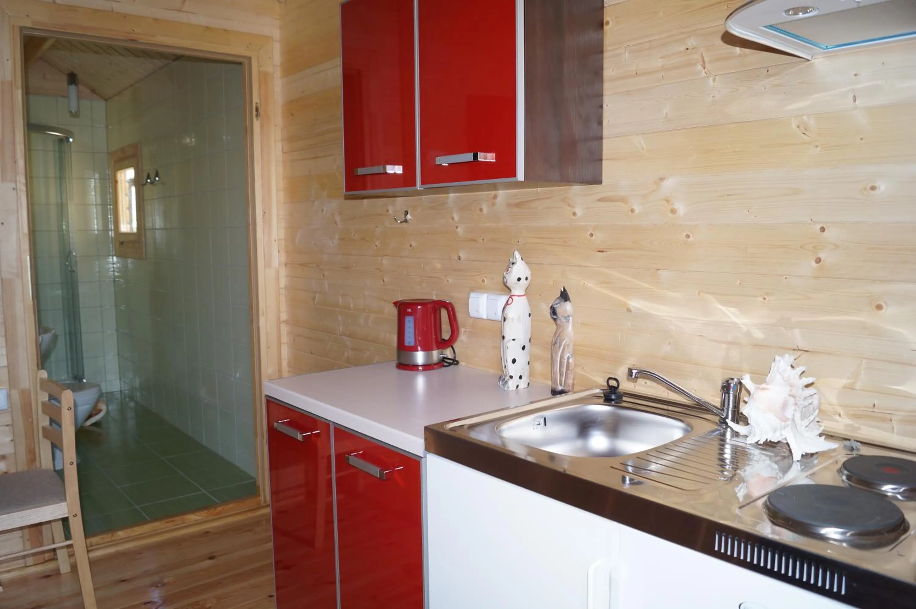 Kitchen or kitchenette in Onyx