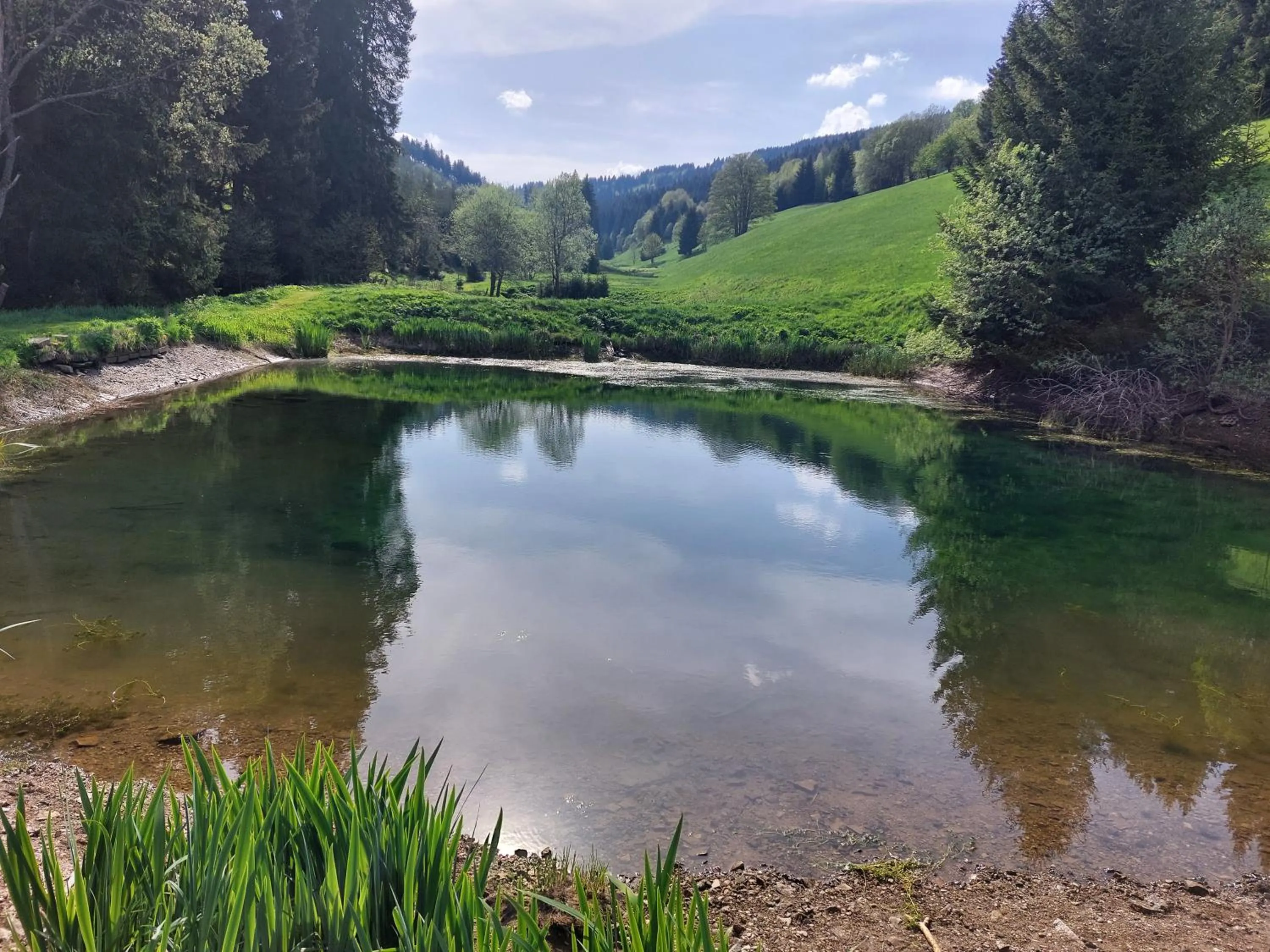 Staff in Schwarzes Ross Hotel & Restaurant Oberwiesenthal