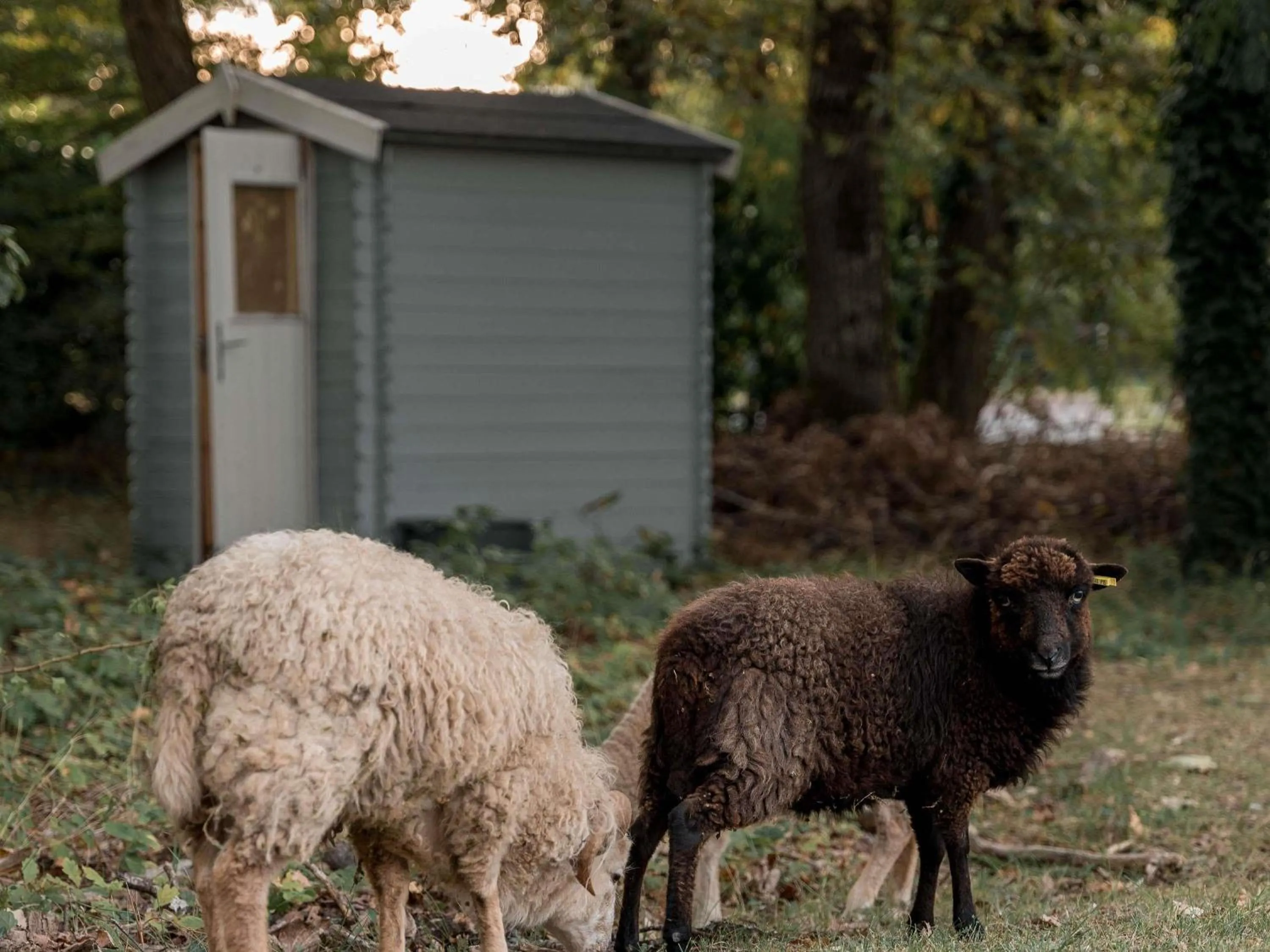 Property building in Novotel Orléans Chemins De Sologne Demeures De Campagne