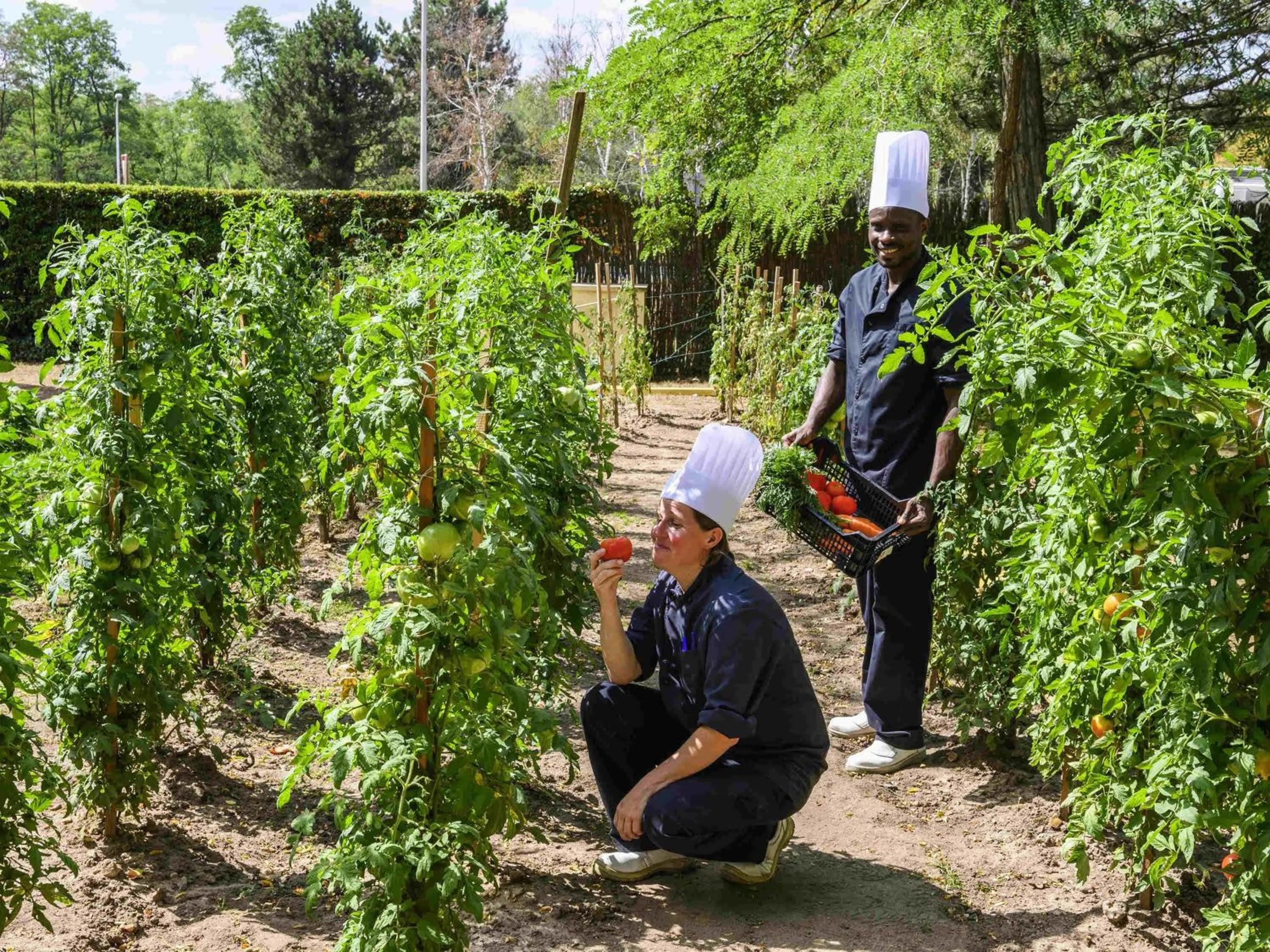 Other in Novotel Orléans Chemins De Sologne Demeures De Campagne