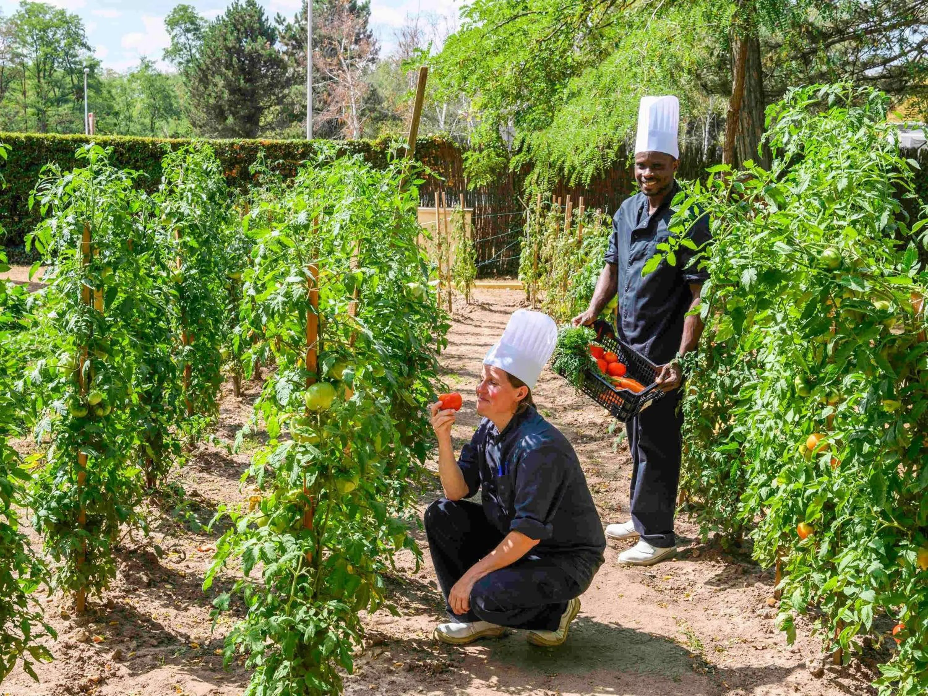 Restaurant/places to eat in Novotel Orléans Chemins De Sologne Demeures De Campagne