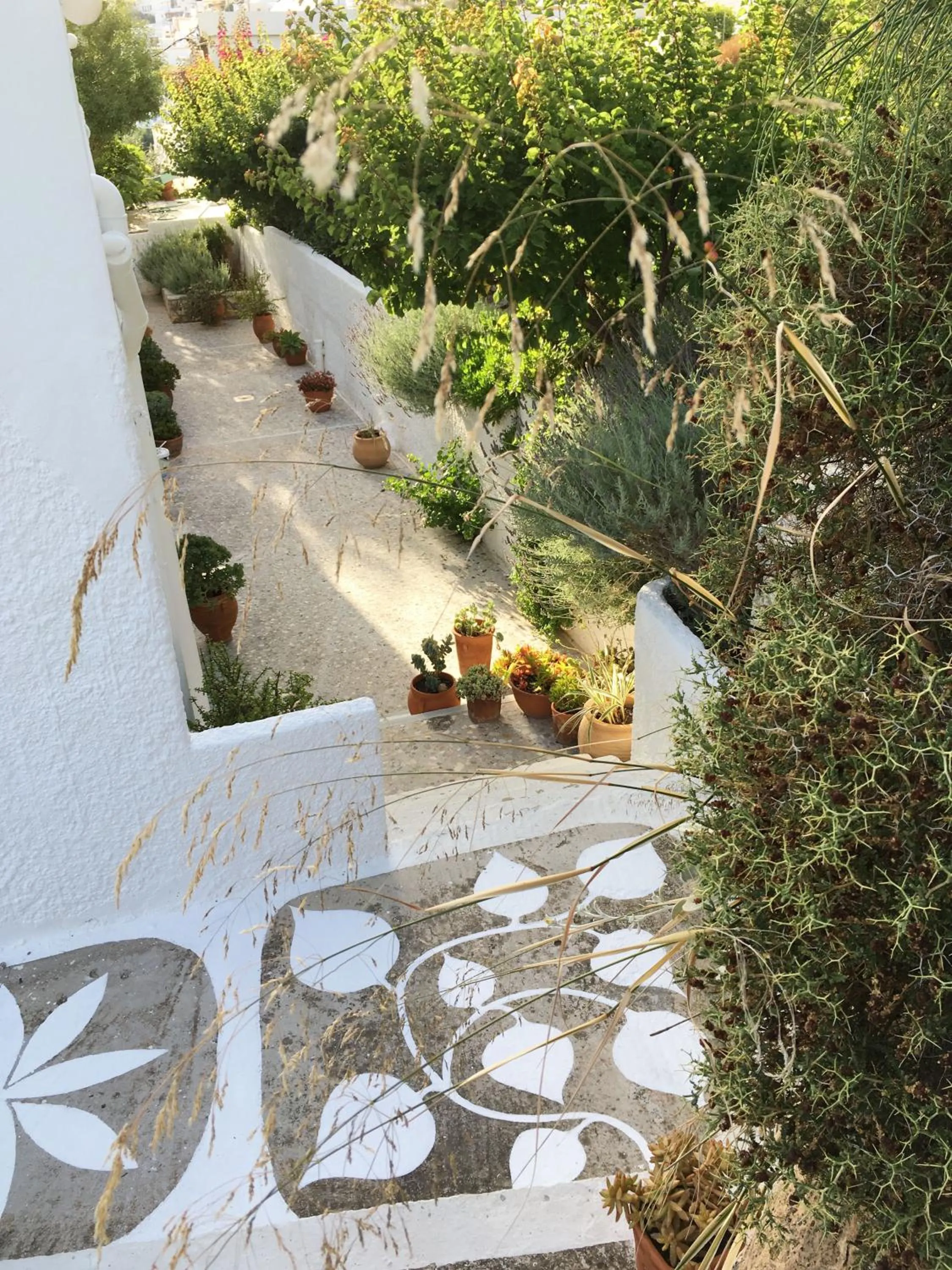 Property building in Asterias