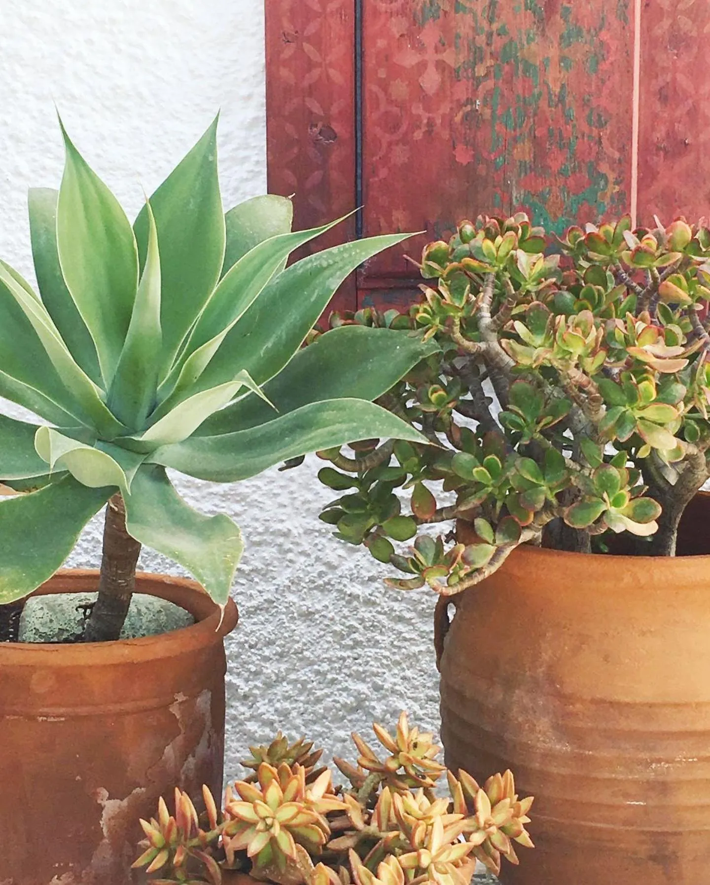 Property building in Asterias