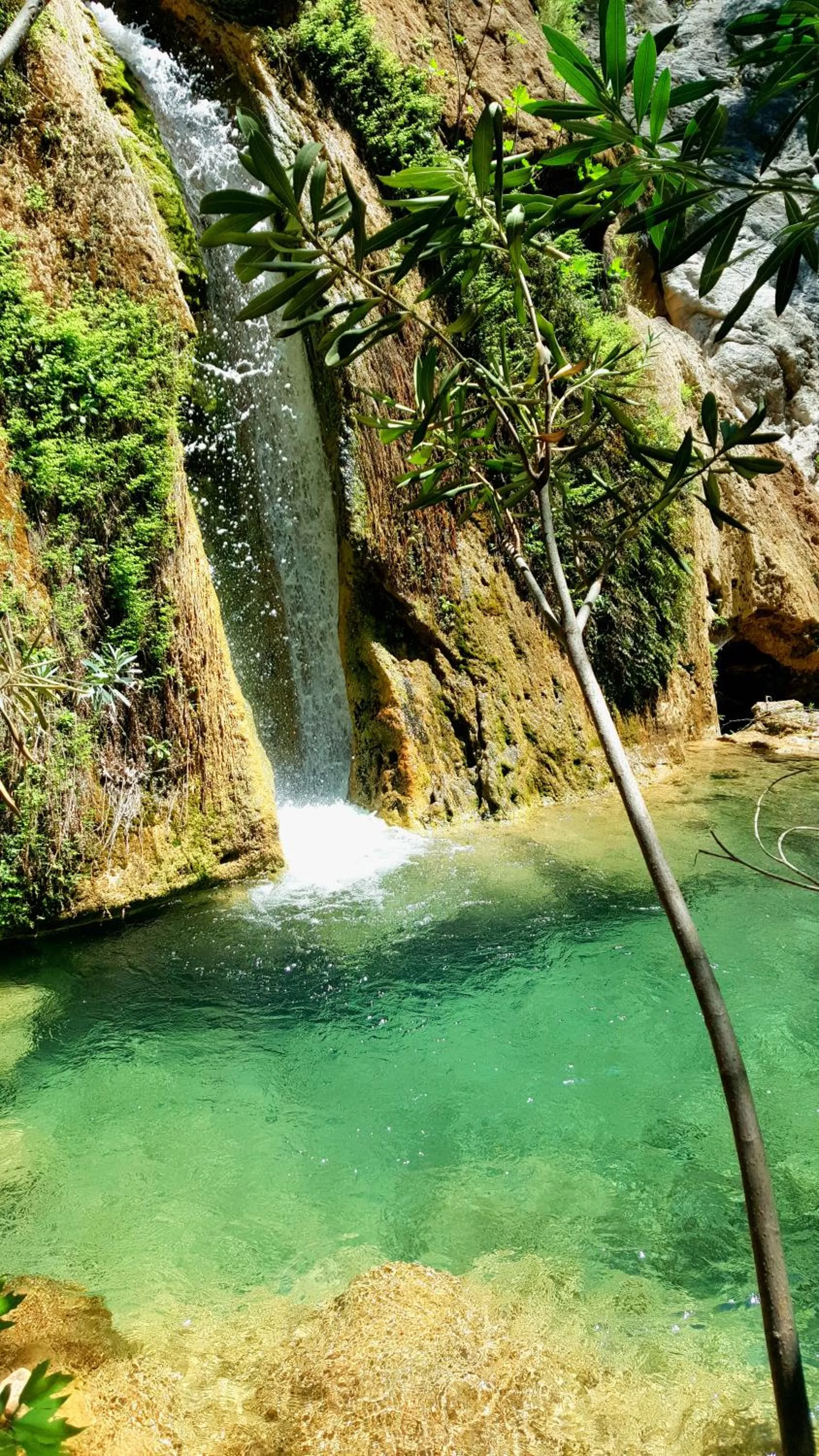 Day in Lissiya Hotel