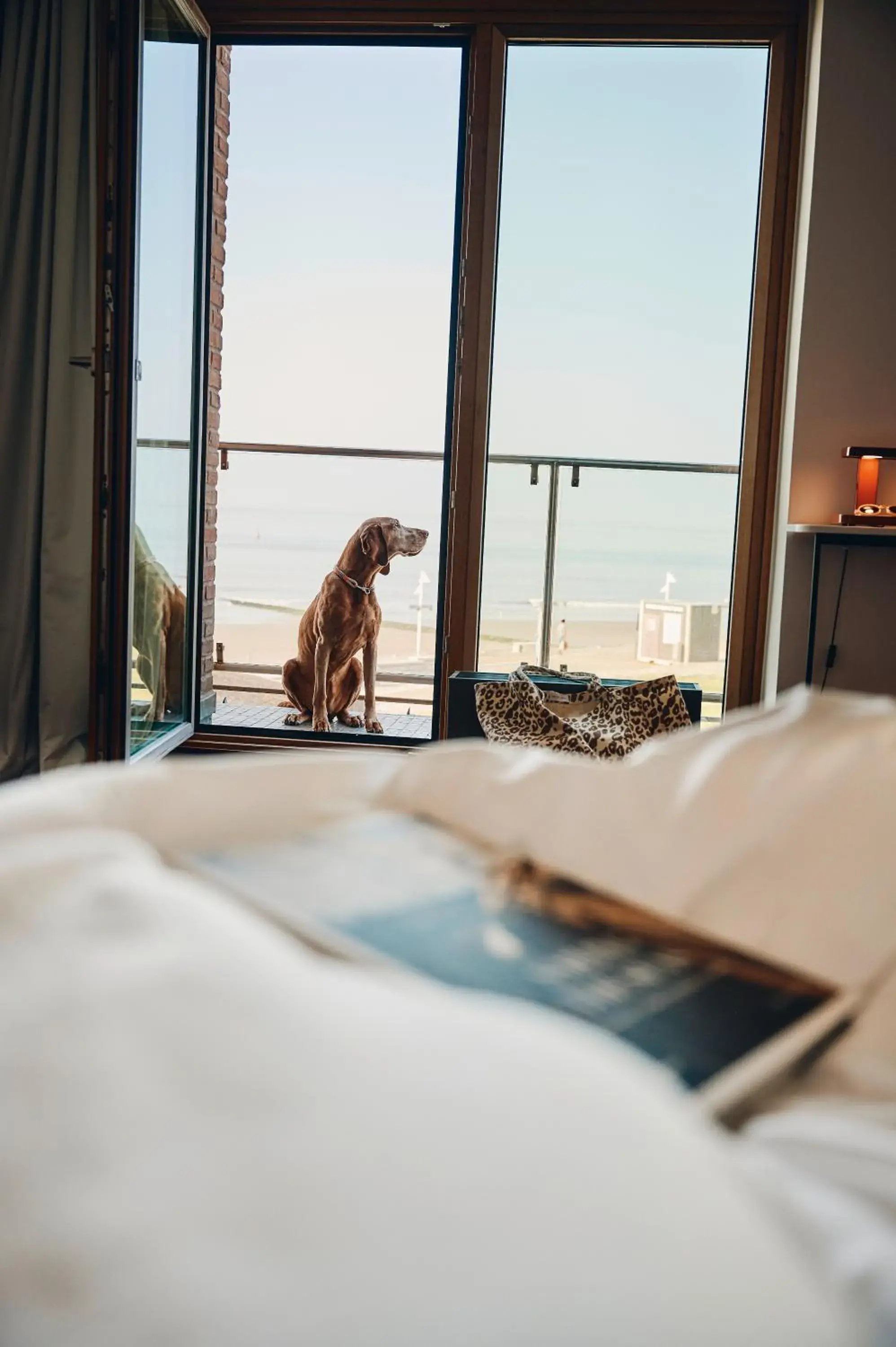 Two-room apartment with sea view and balcony - Rodehuus in Hotel Haus am Meer Two-room apartment with sea view and balcony - Rodehuus in Hotel Haus am Meer