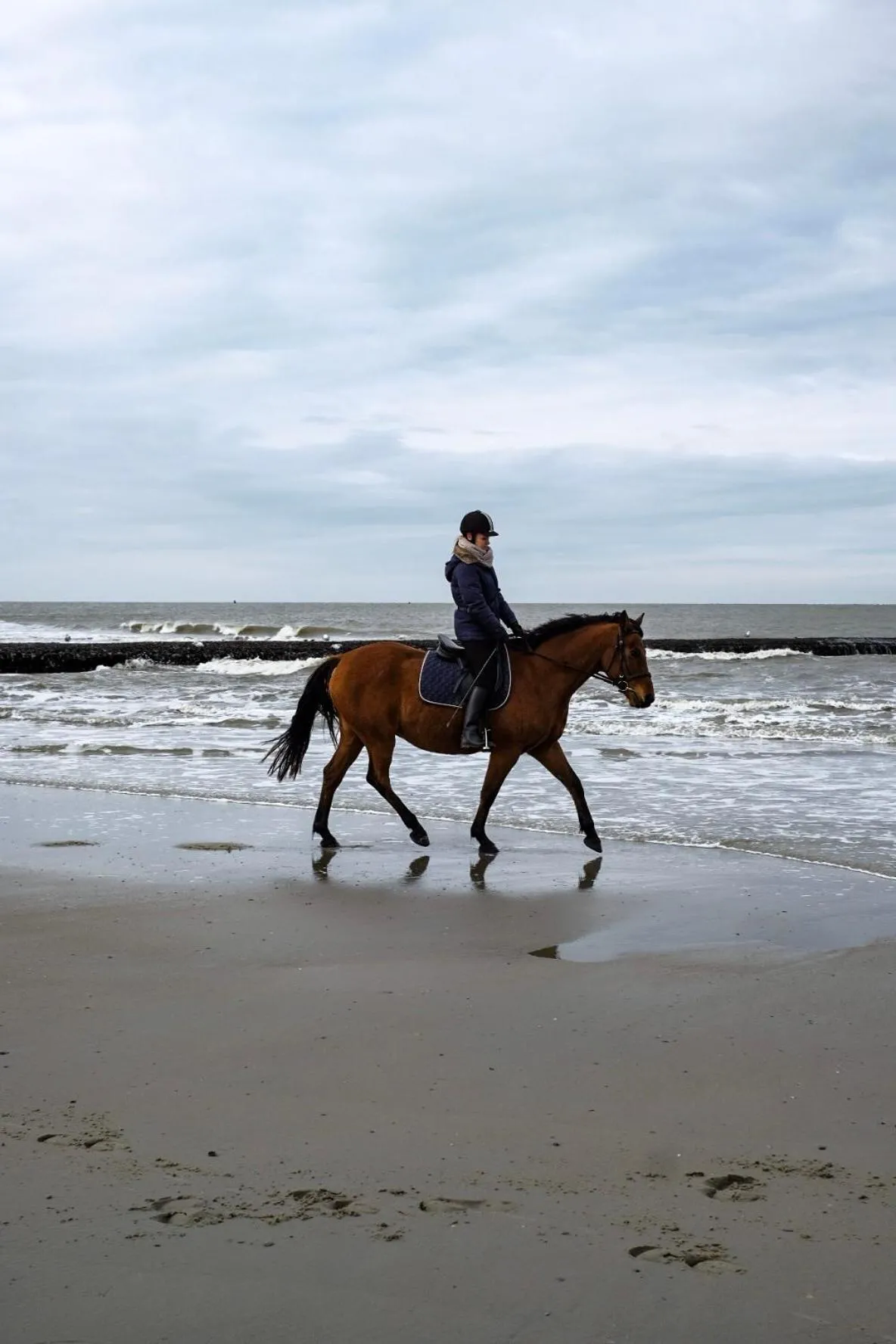 Horse-riding in Hotel Haus am Meer