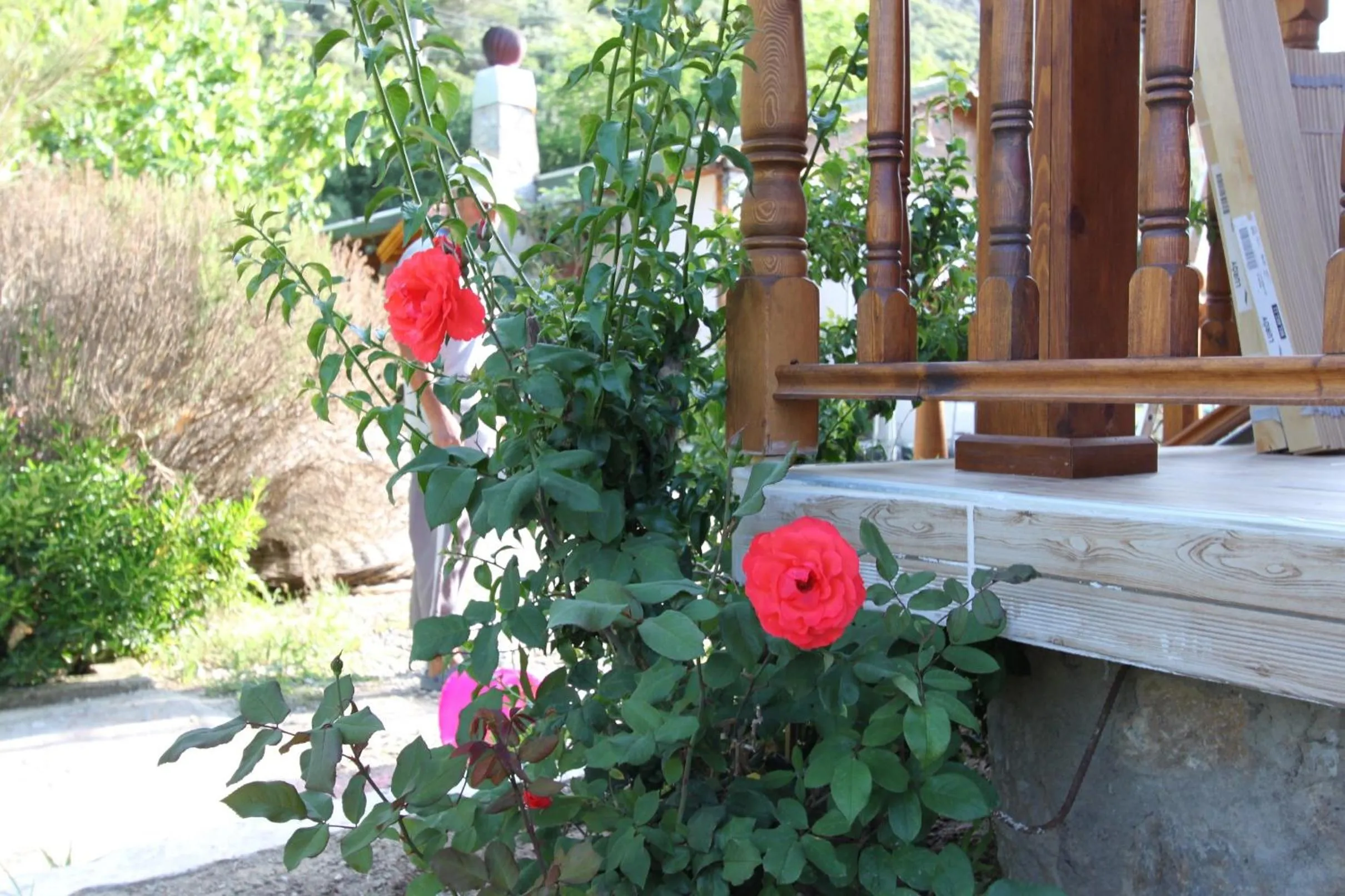 Decorative detail in Elly's Home