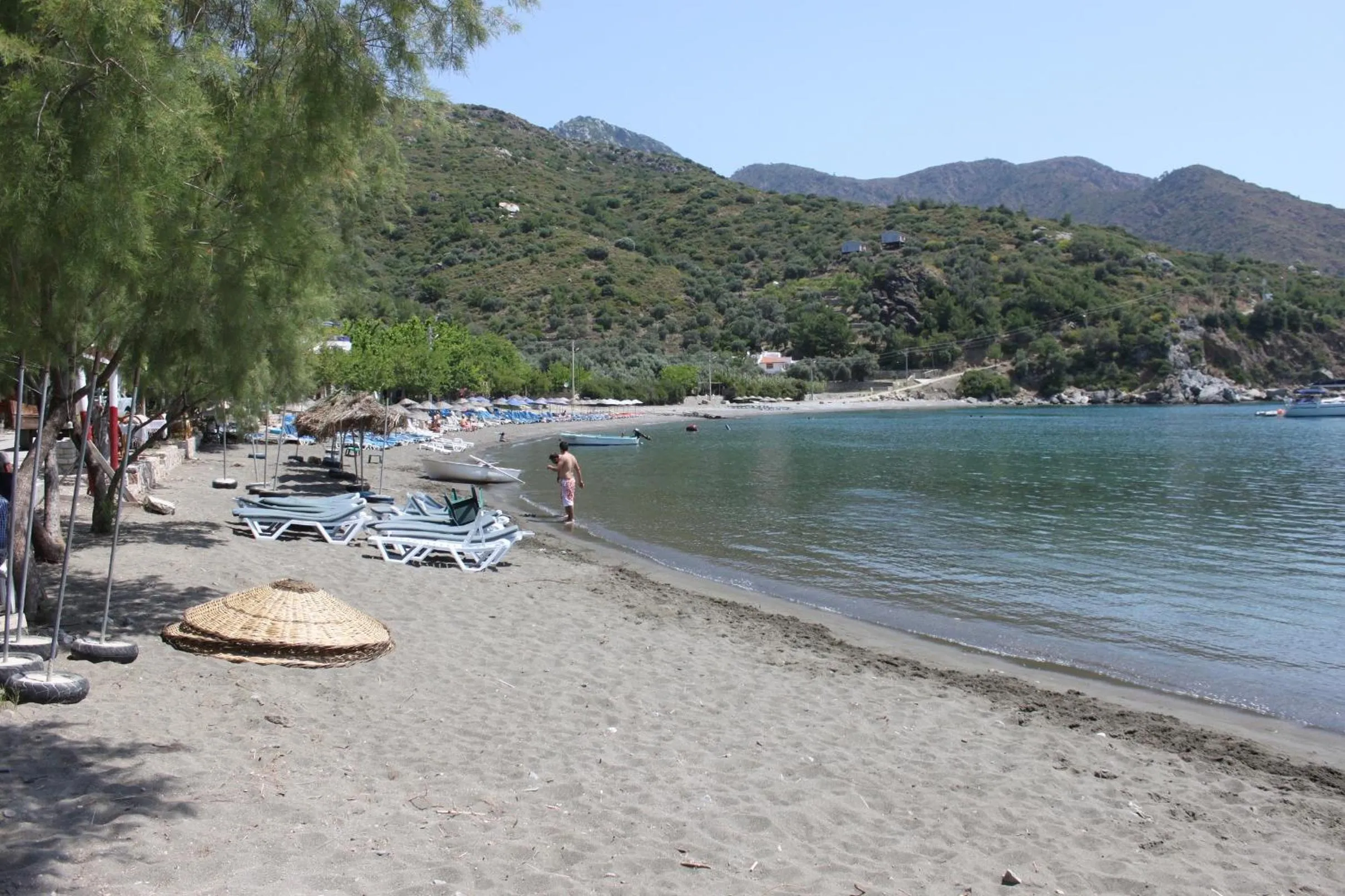 Natural landscape in Elly's Home