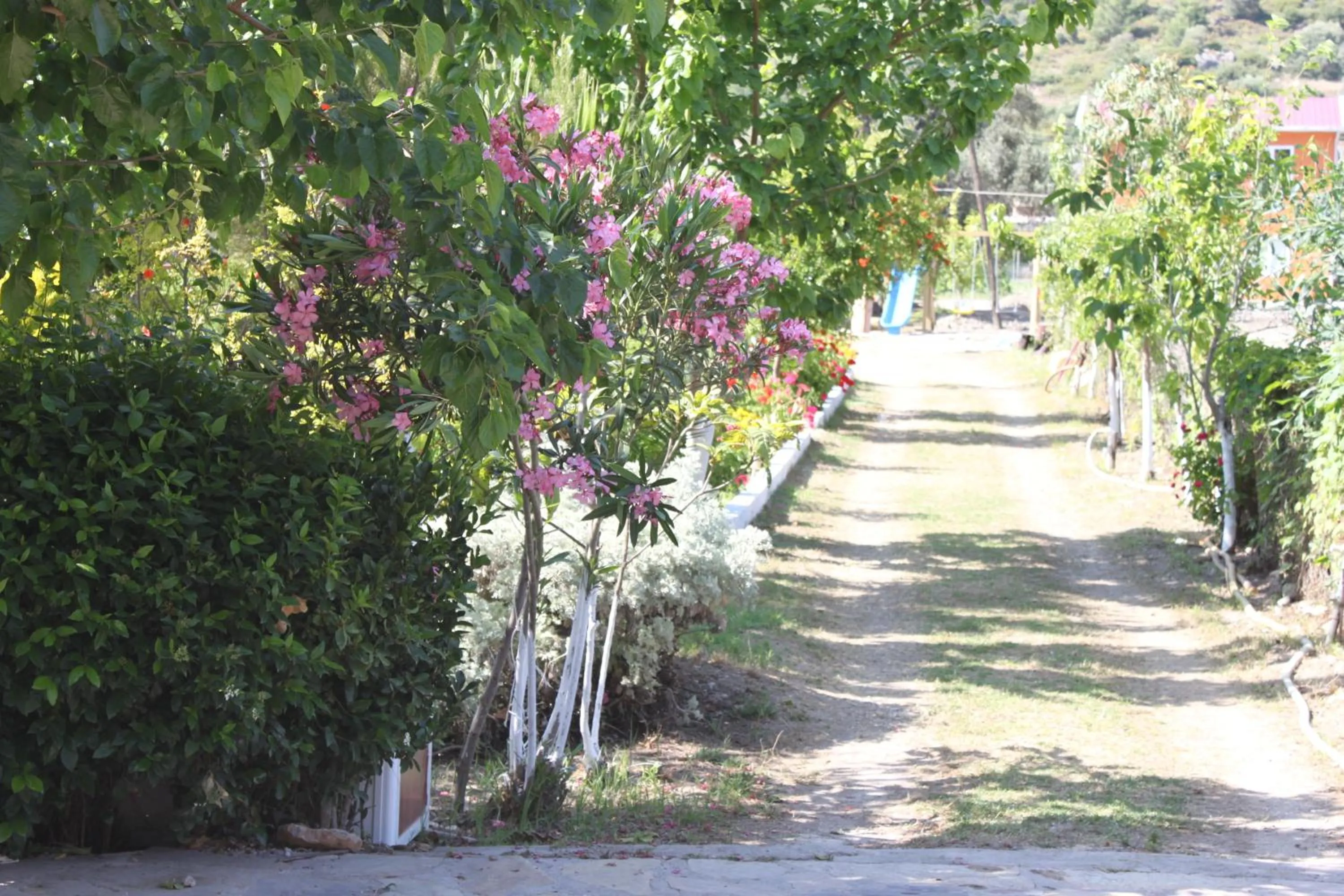 Decorative detail in Elly's Home