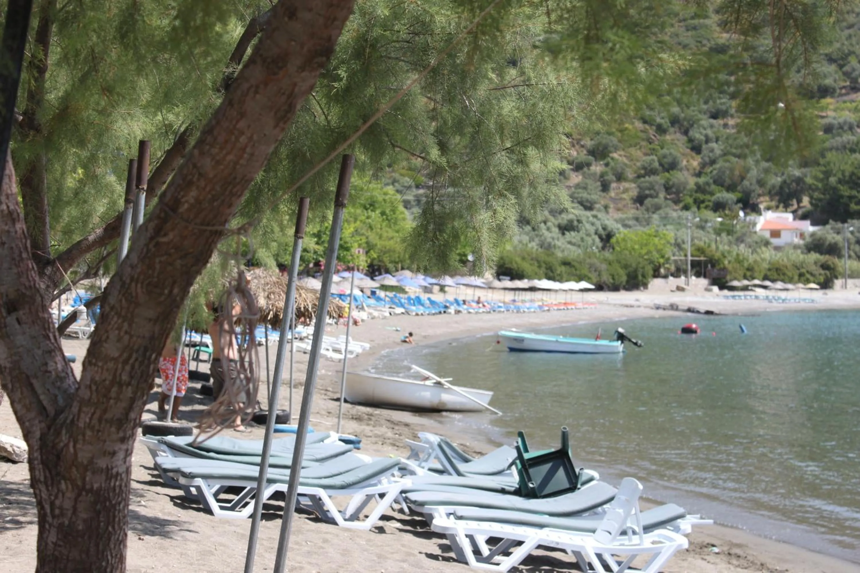 Natural landscape in Elly's Home