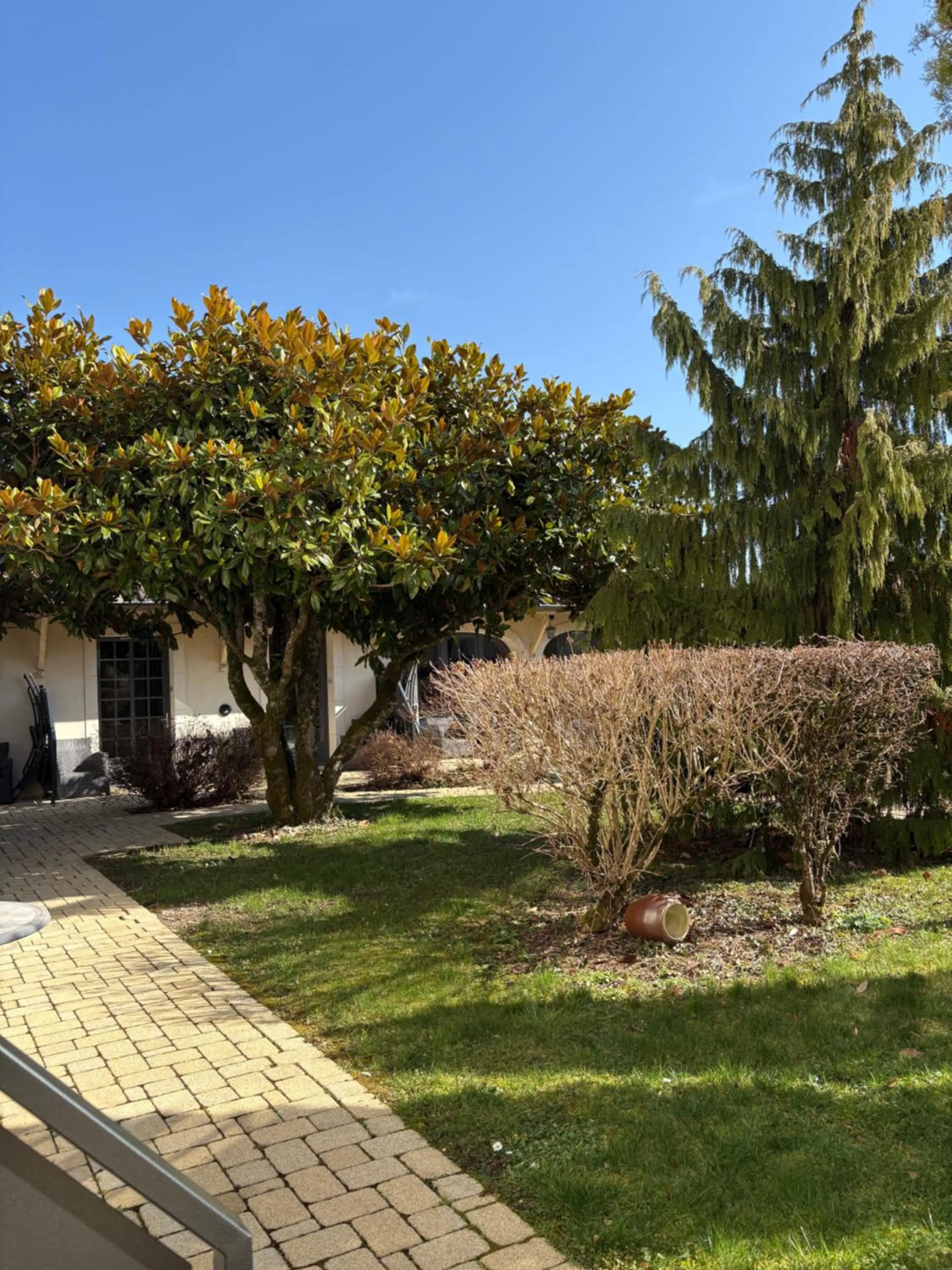 Garden in Hôtel La Vinaigrerie LOGIS