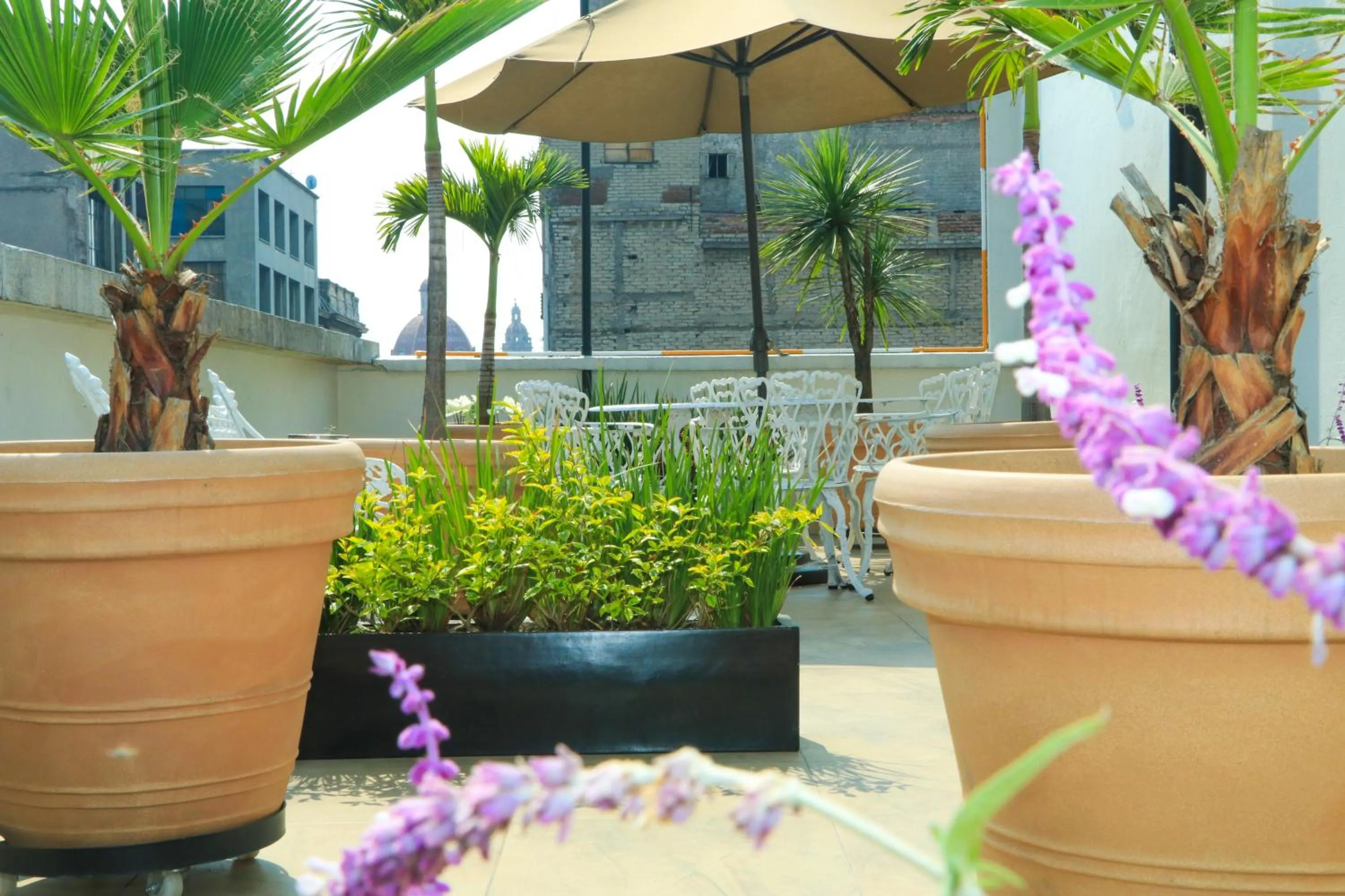 Balcony/Terrace in Hotel Habana