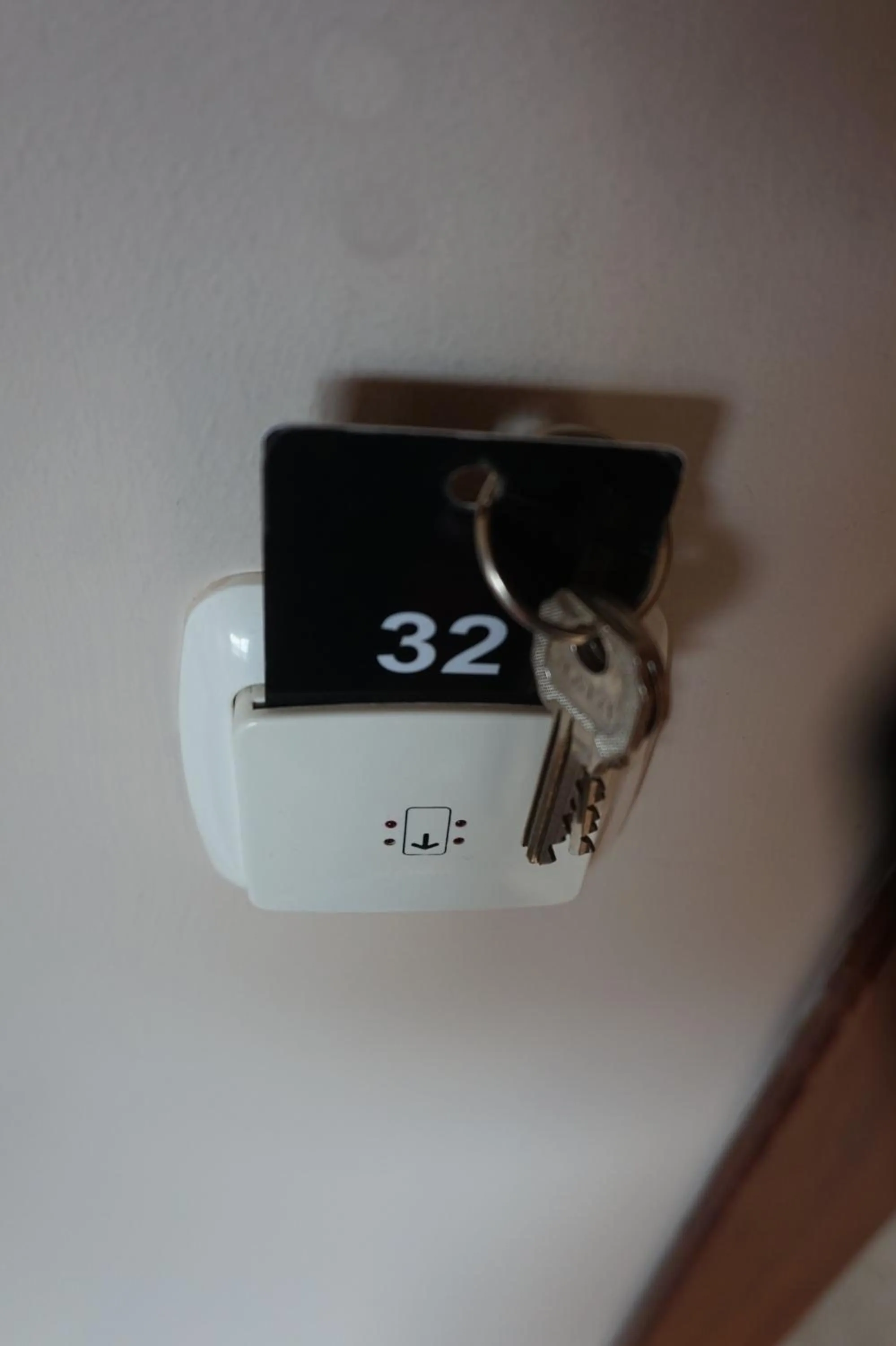 Logo/Certificate/Sign in Hostal Alamare