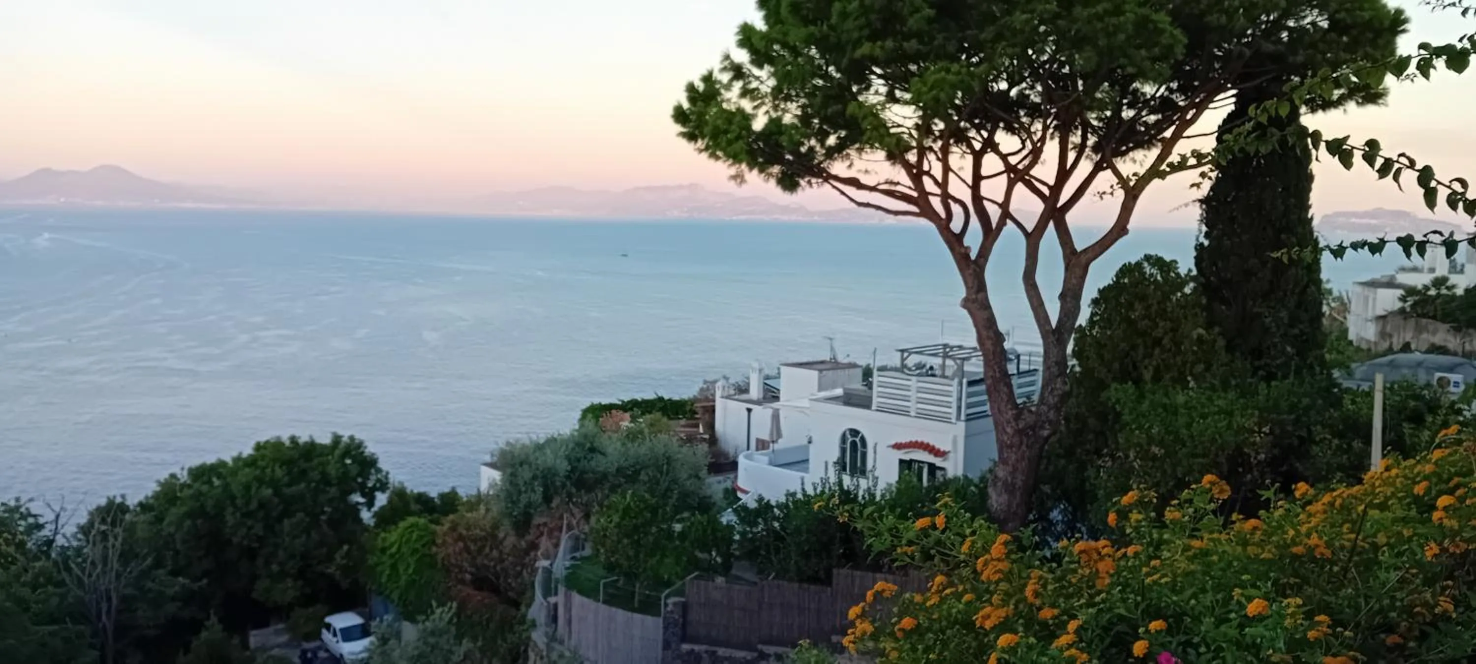 La Pergola del Torchio