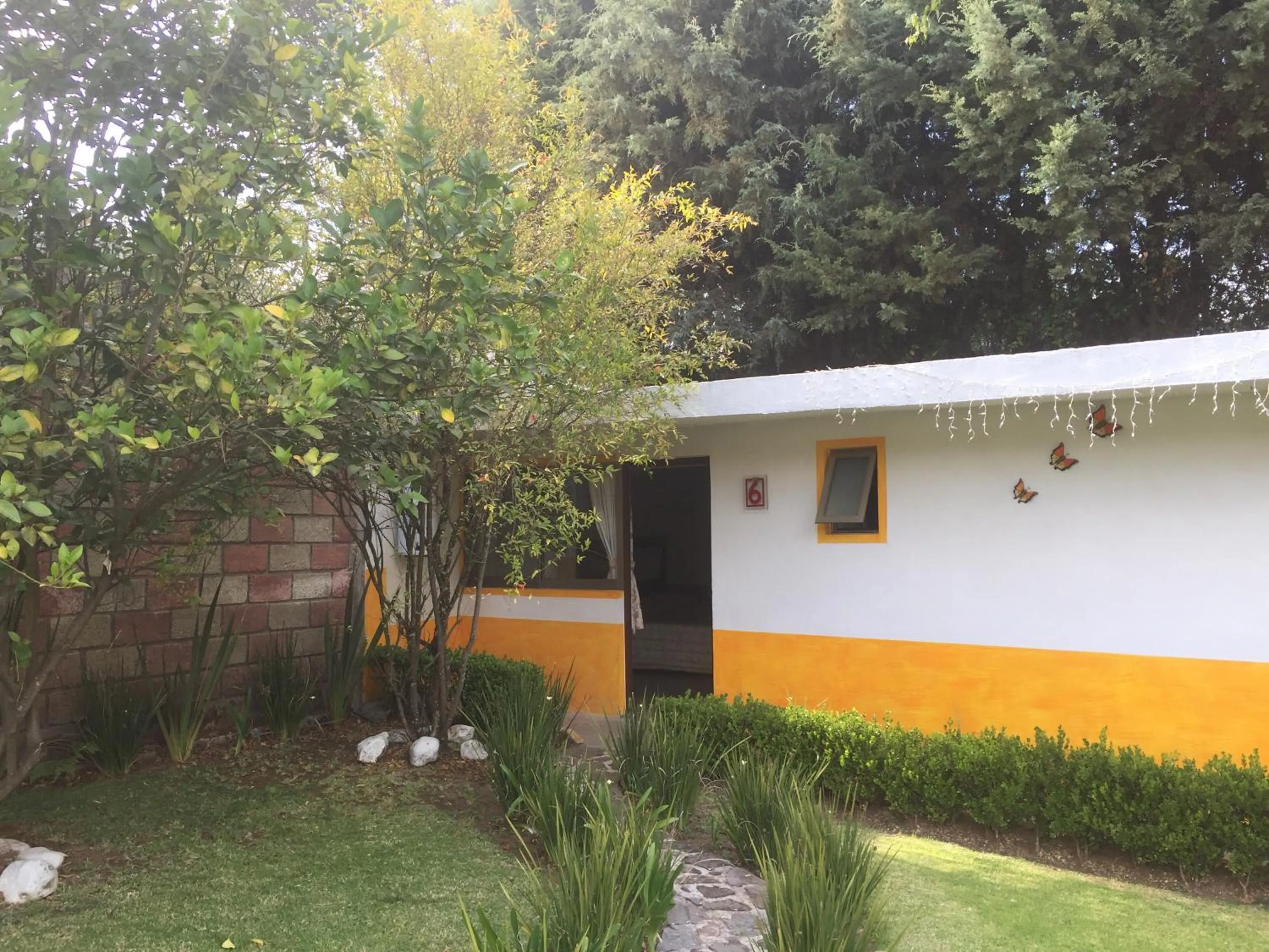 Hotel Finca los Girasoles