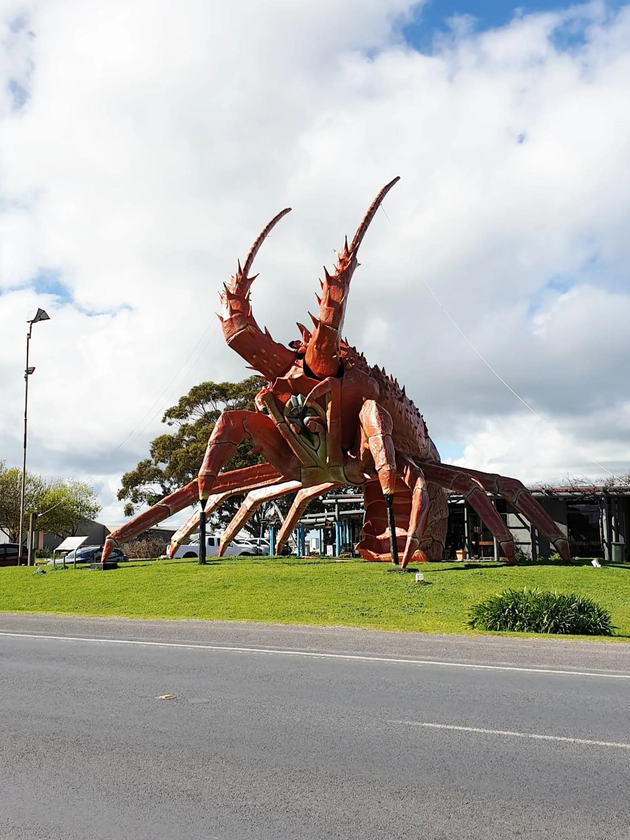 Activities in Lacepede Bay Motel