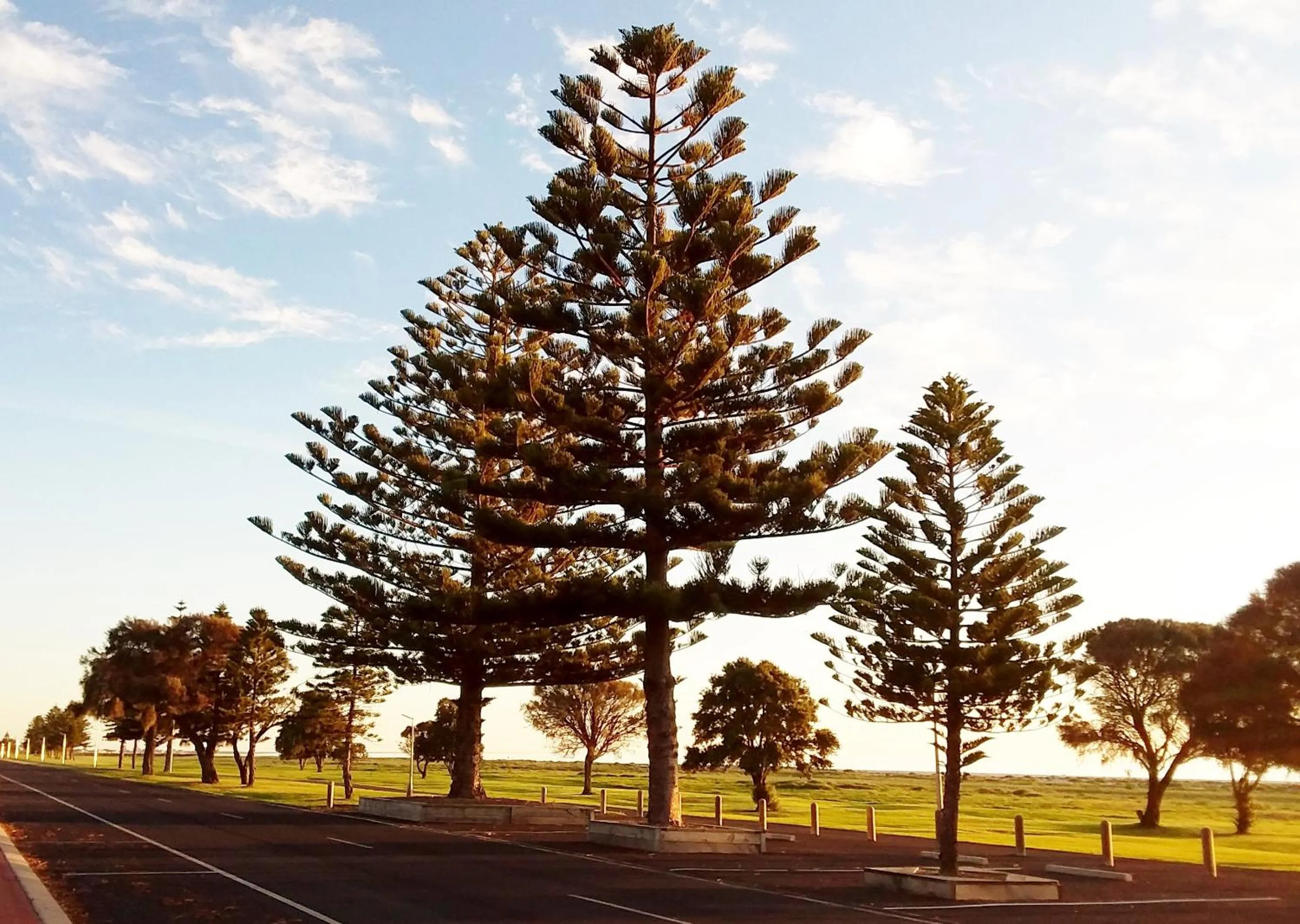 Beach in Lacepede Bay Motel