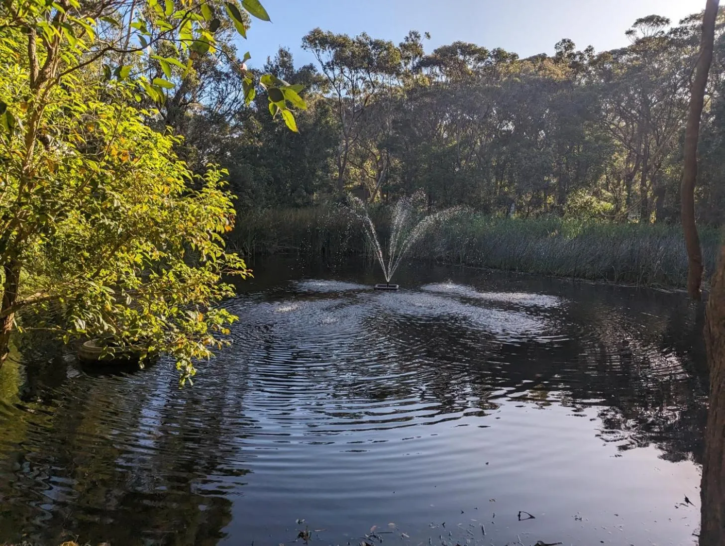 Natural landscape in The Oasis at One Mile Beach