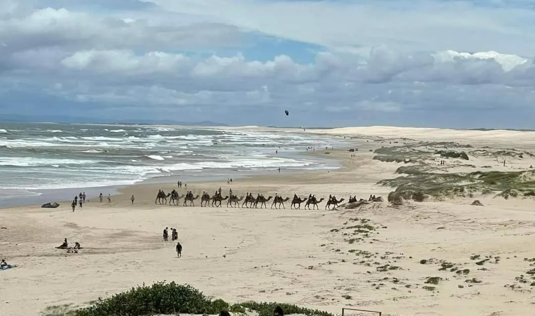 Nearby landmark in The Oasis at One Mile Beach