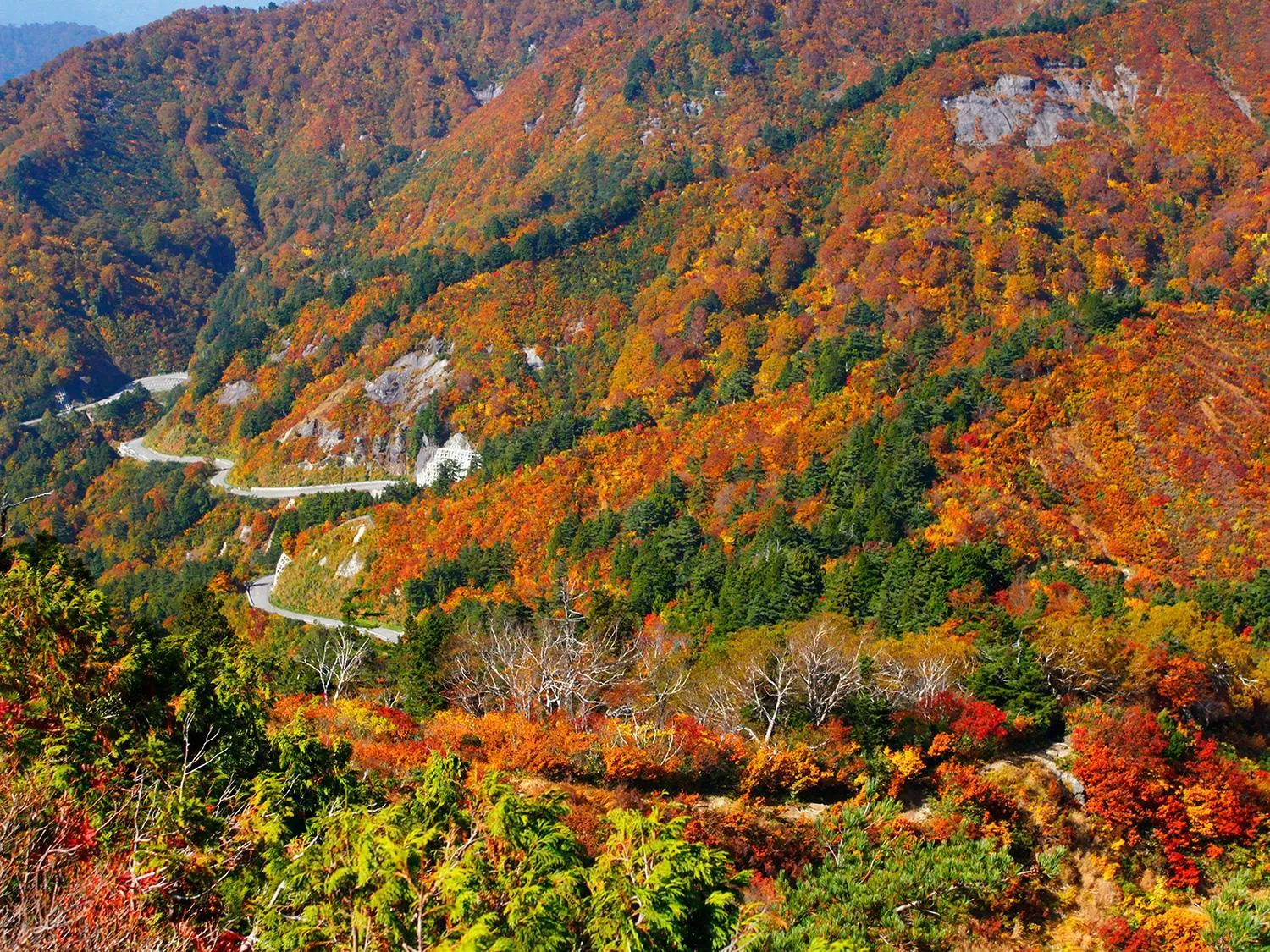 Nearby landmark in Ichirino Kogen Hotel Roan
