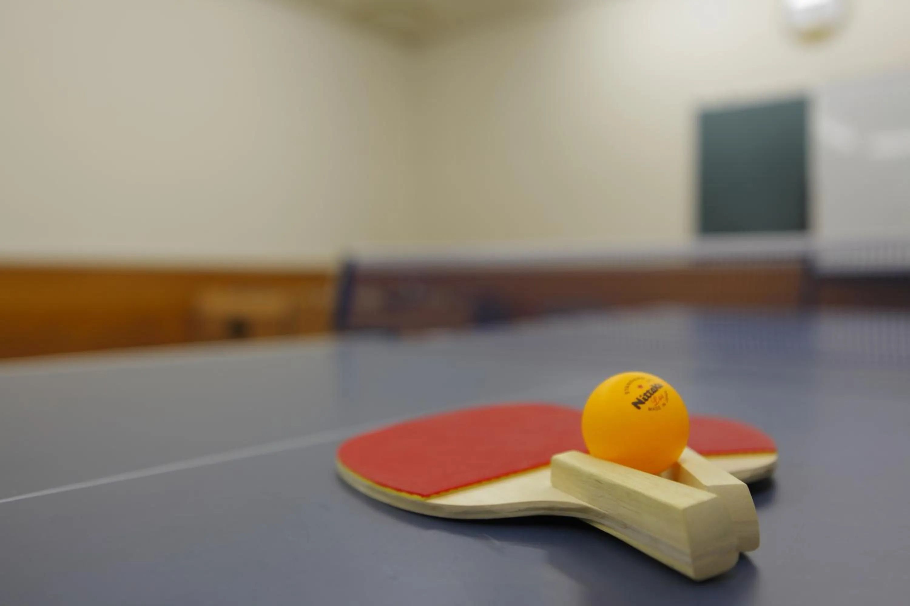 Table tennis in Ichirino Kogen Hotel Roan