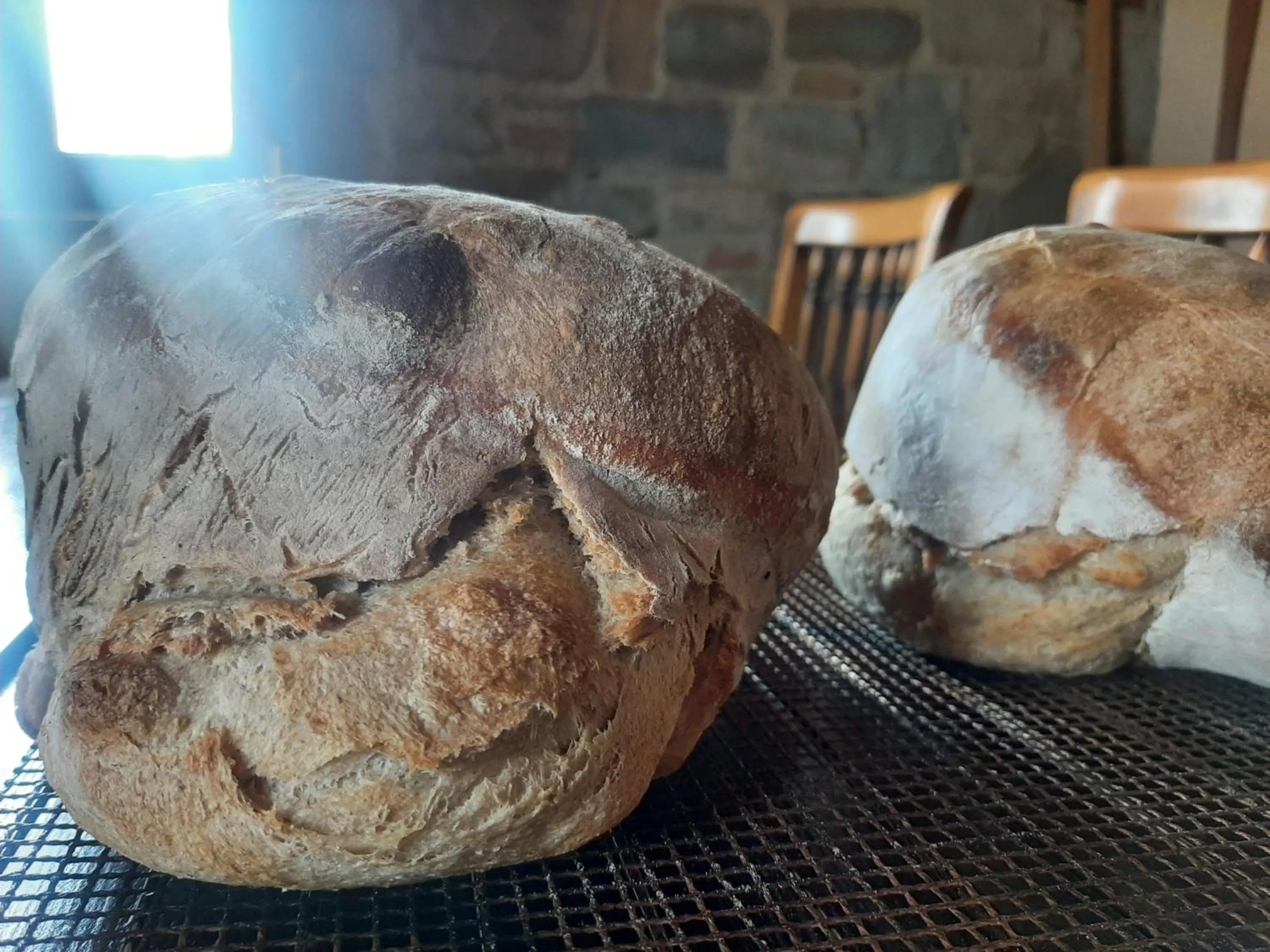 Food in Dimora Acqua del Fico