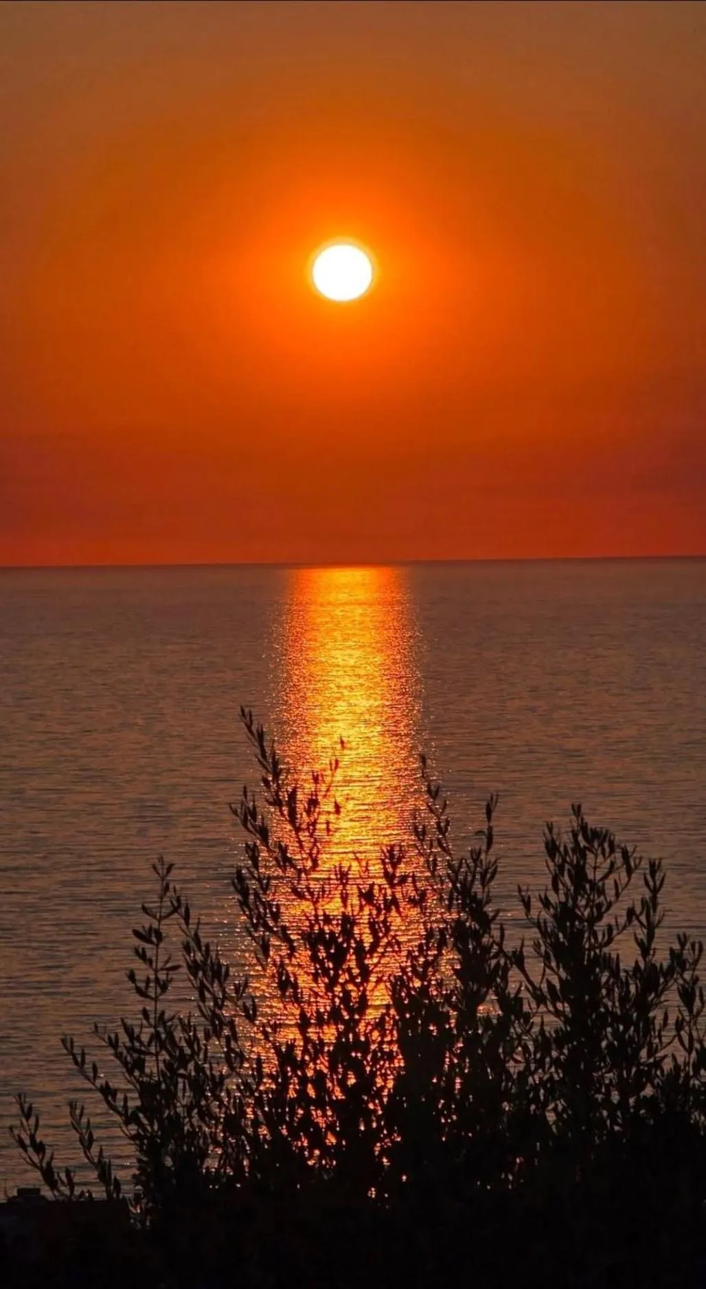 Dimora Acqua del Fico