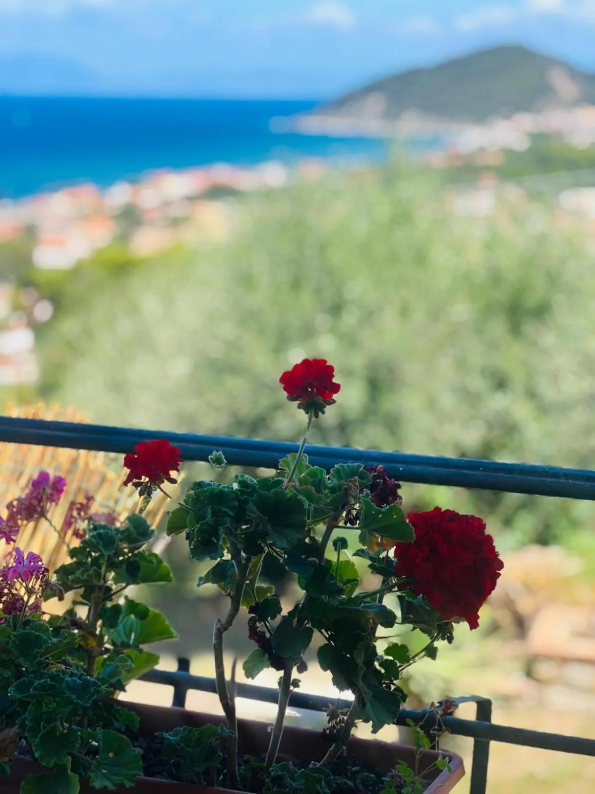 Dimora Acqua del Fico