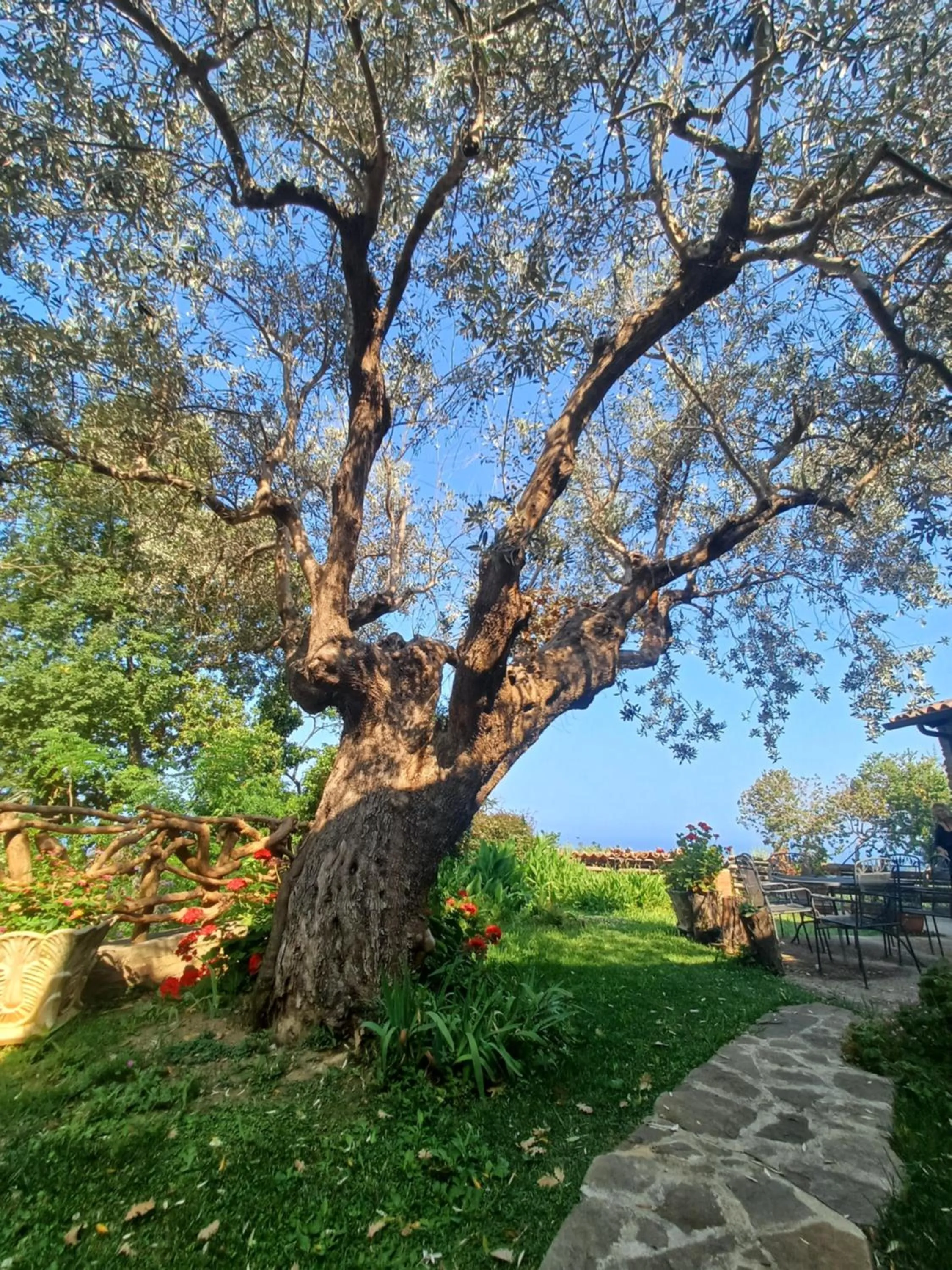 Day in Dimora Acqua del Fico