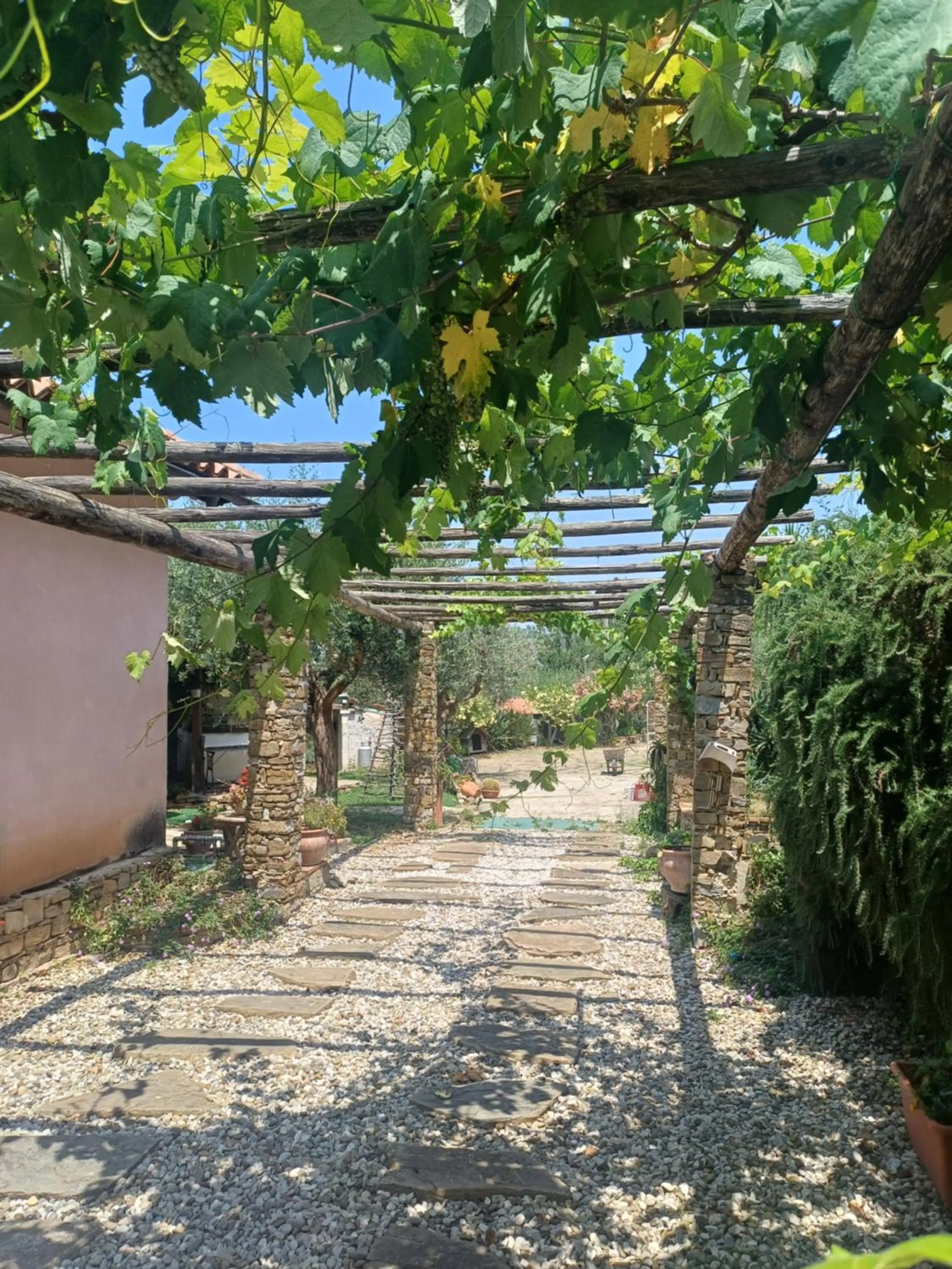 Natural landscape in Dimora Acqua del Fico