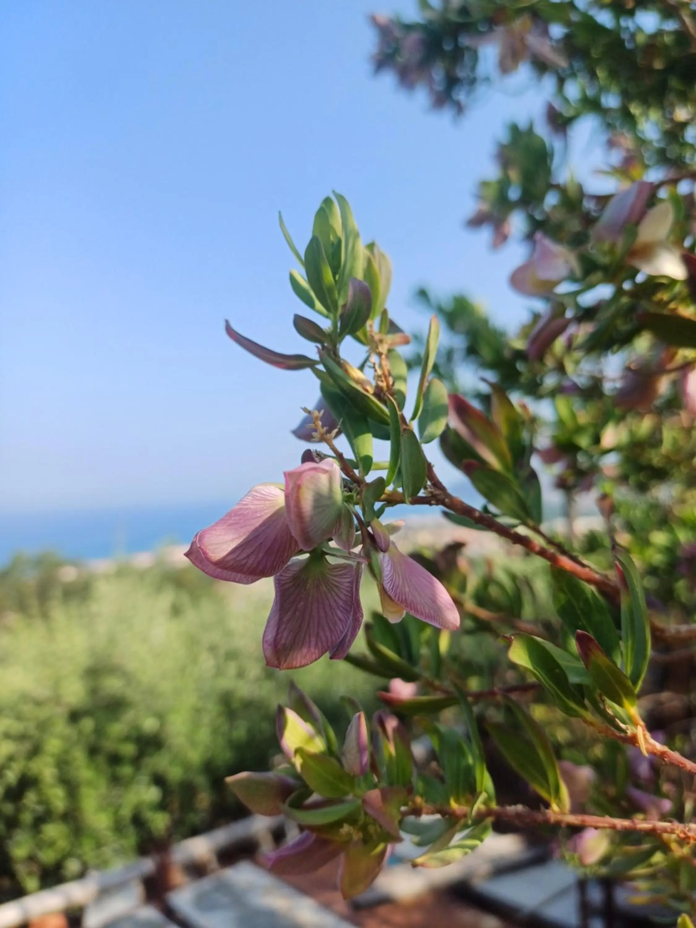 Spring in Dimora Acqua del Fico