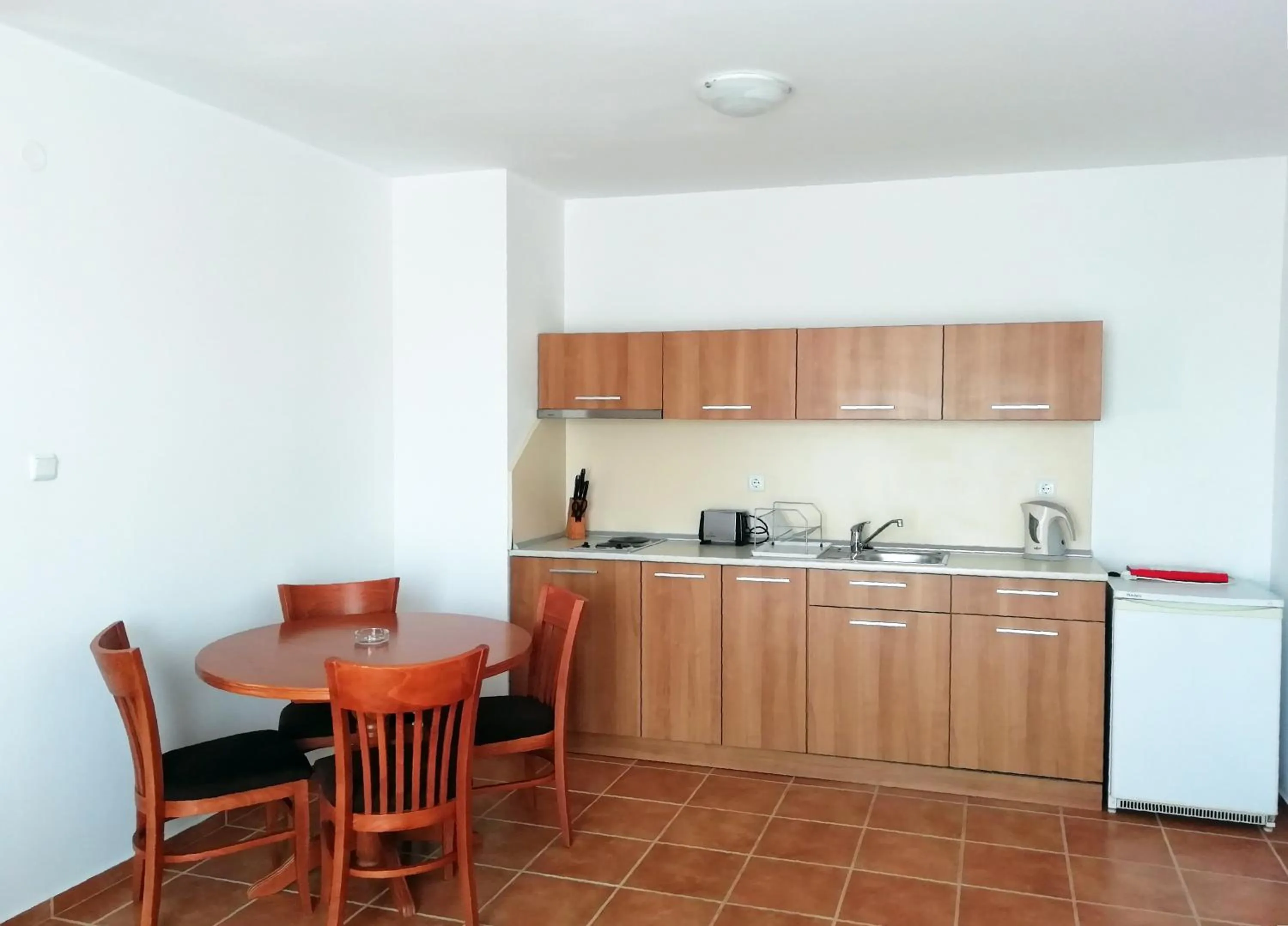 Kitchen or kitchenette in Apart Hotel Efir