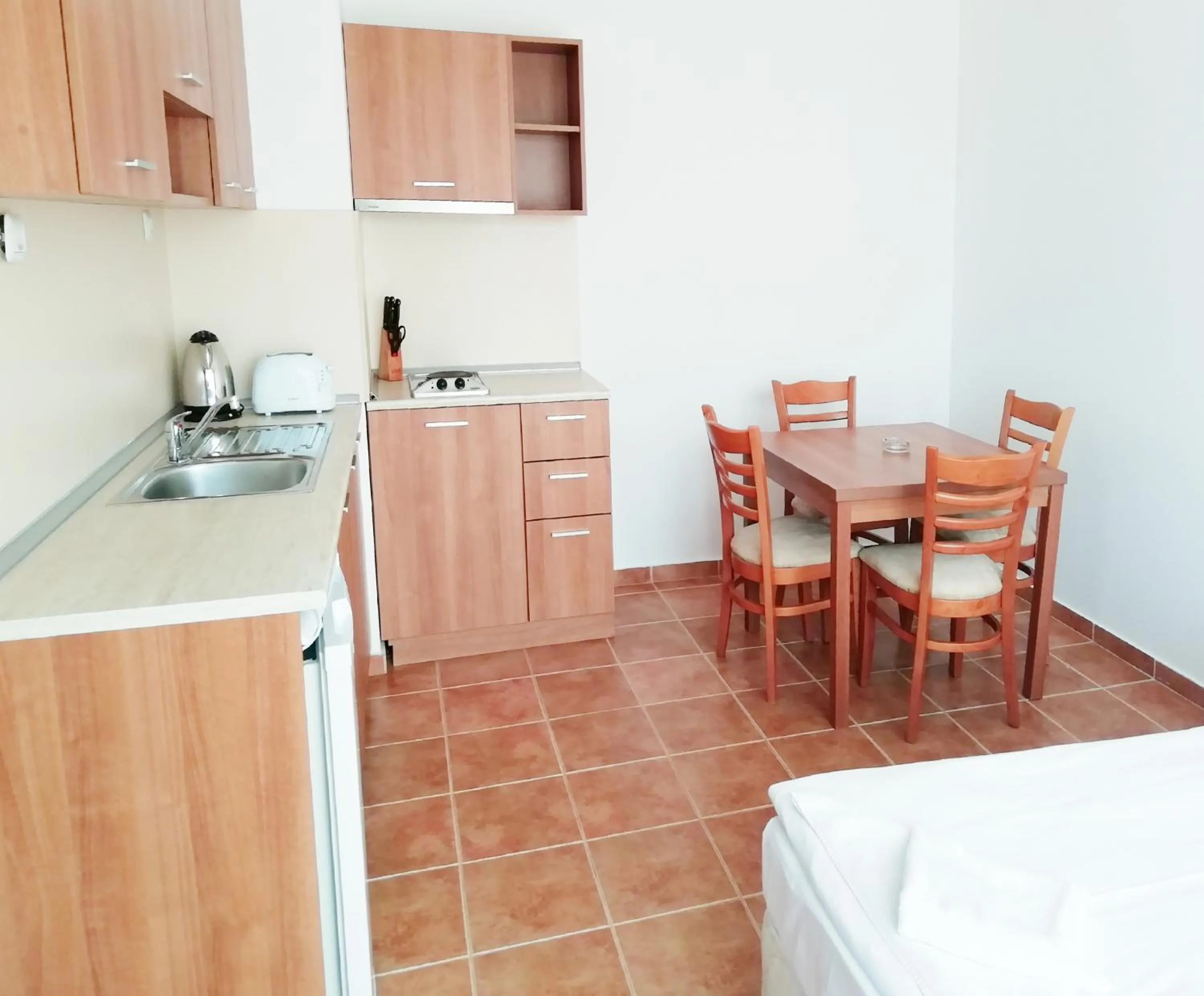 Kitchen or kitchenette in Apart Hotel Kasandra