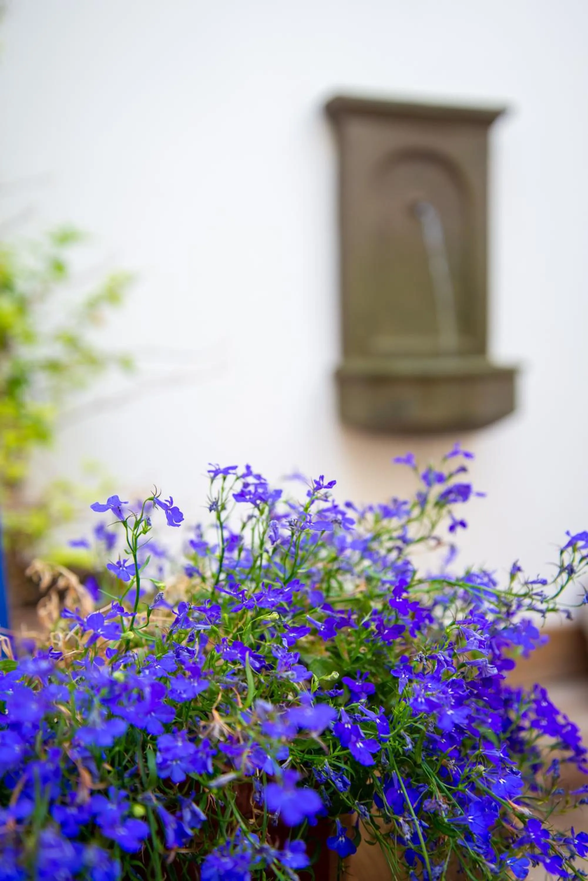 Patio in El Hotelito del Cotillo - Adults Only