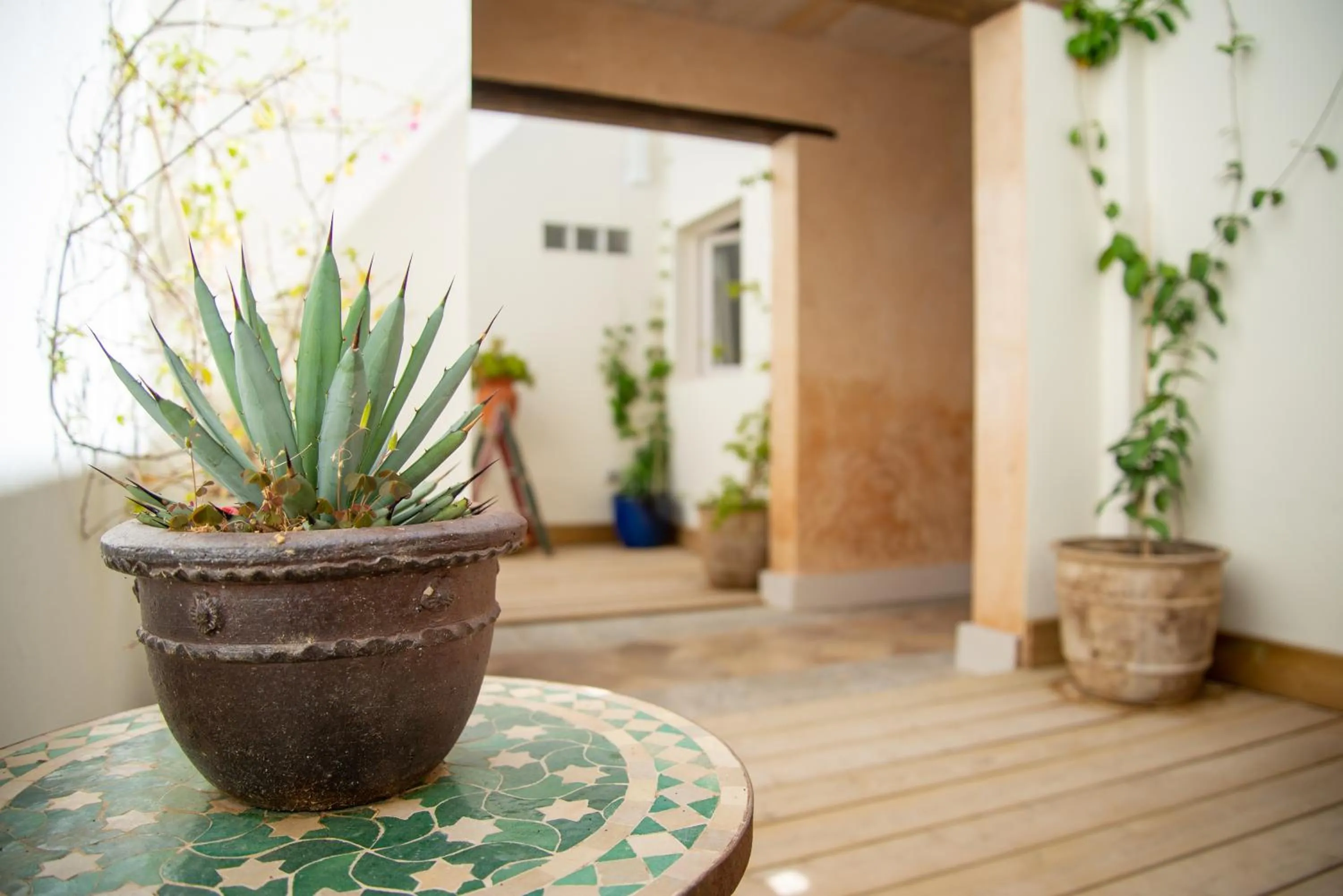 Patio in El Hotelito del Cotillo - Adults Only