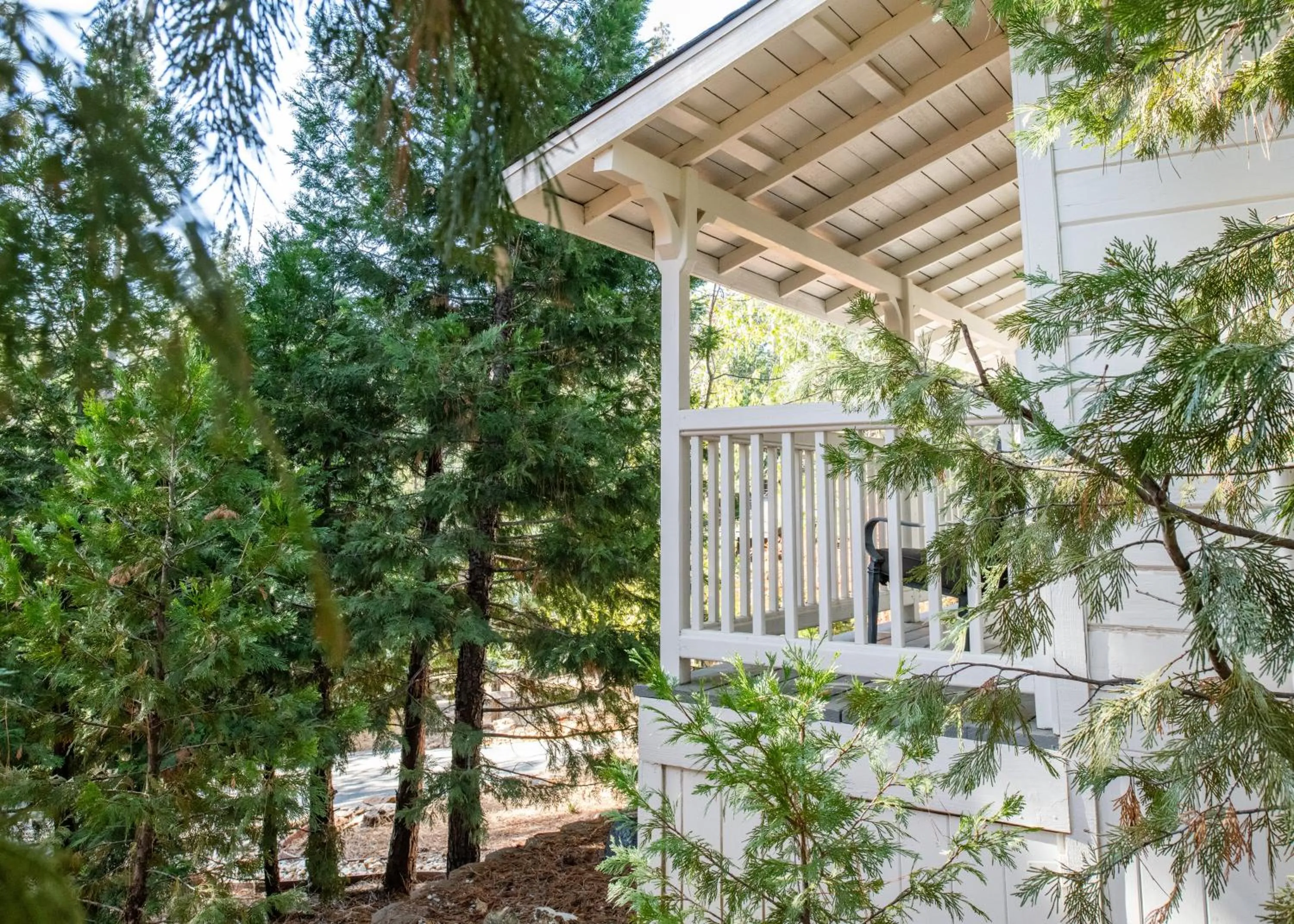 Natural landscape in Inn at Sugar Pine Ranch