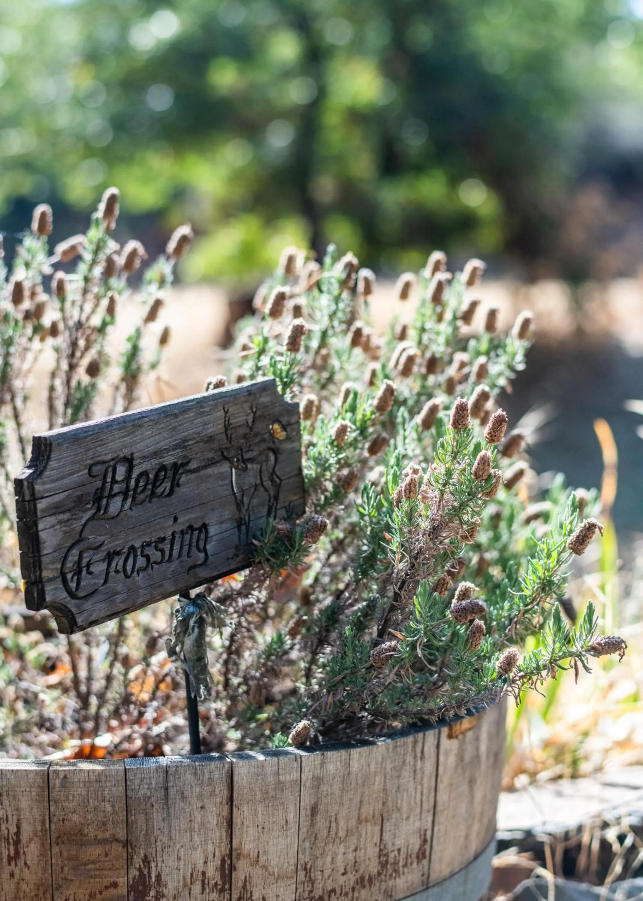Decorative detail in Inn at Sugar Pine Ranch