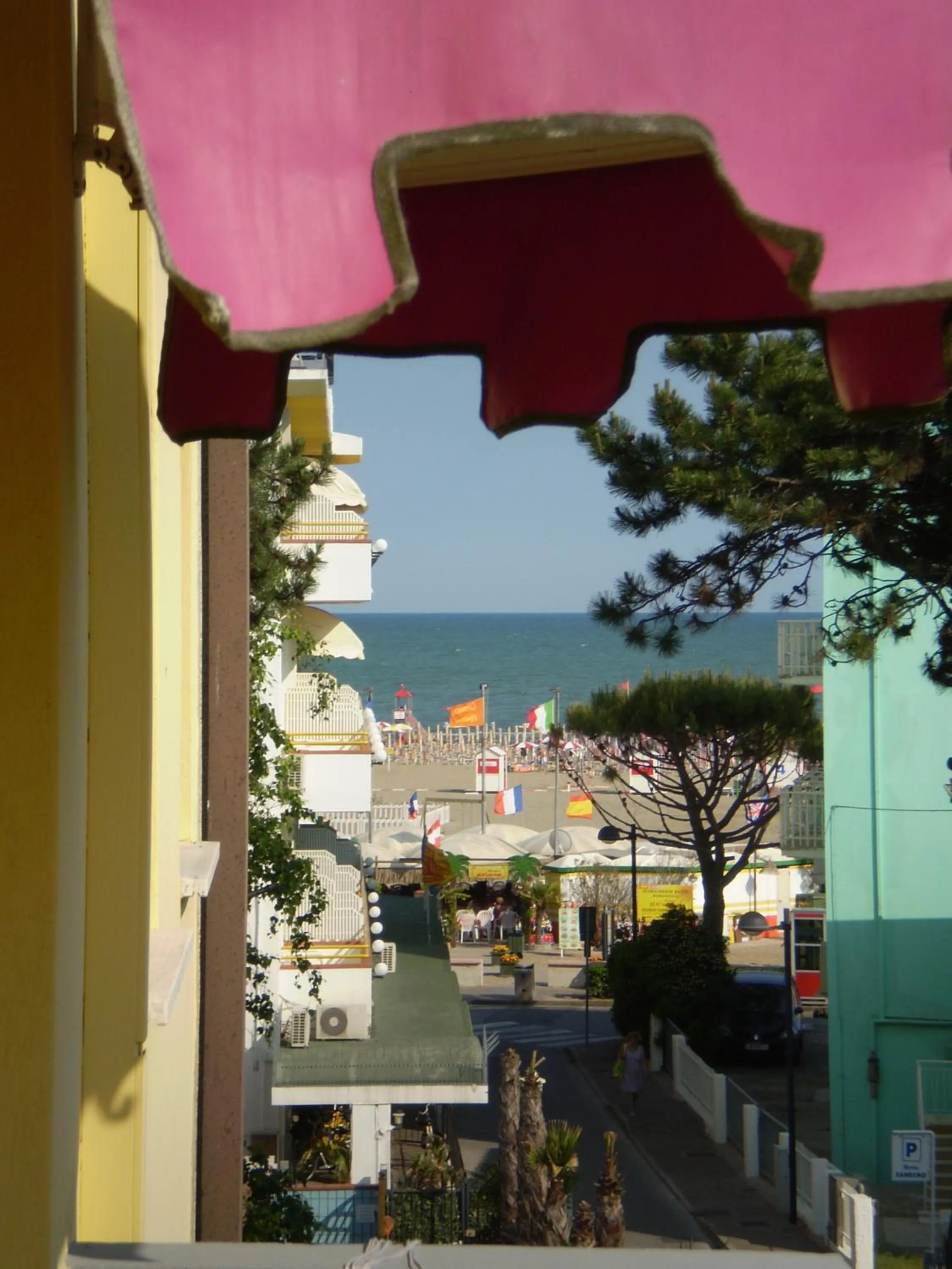 Balcony/Terrace in Hotel Villa Roma