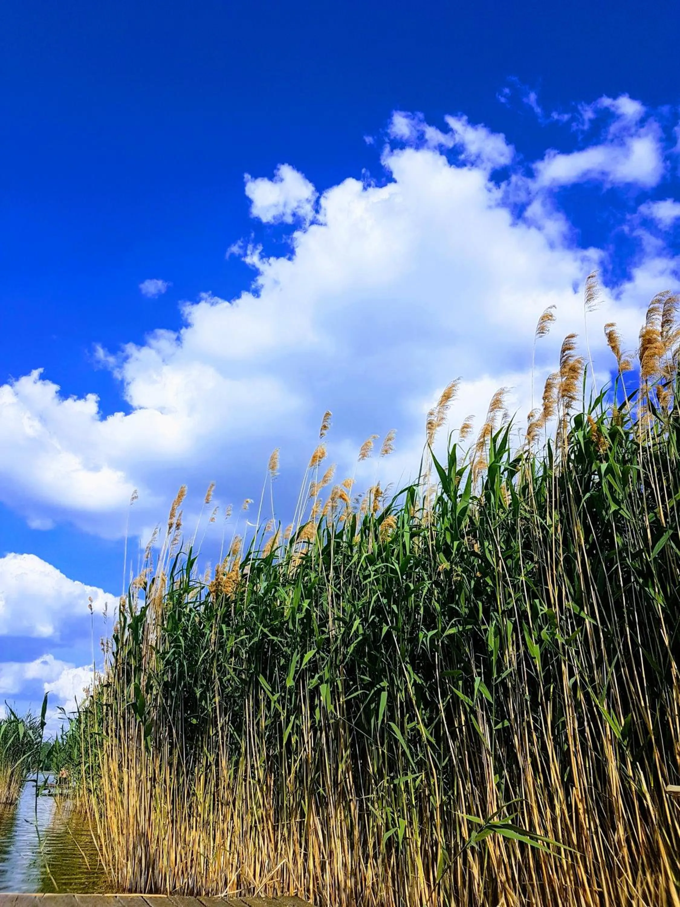 Natural landscape in Anna-Lak