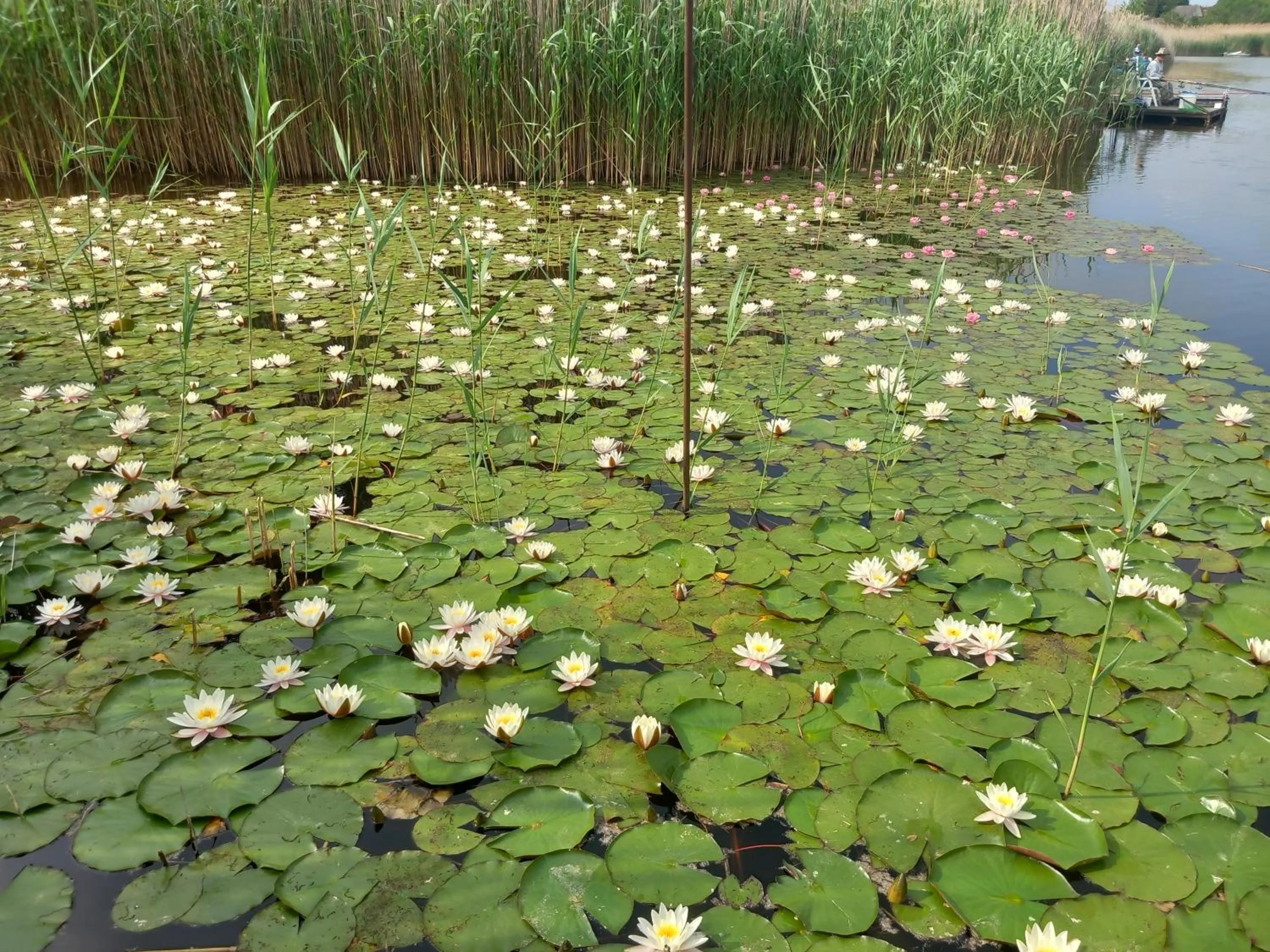 Natural landscape in Anna-Lak