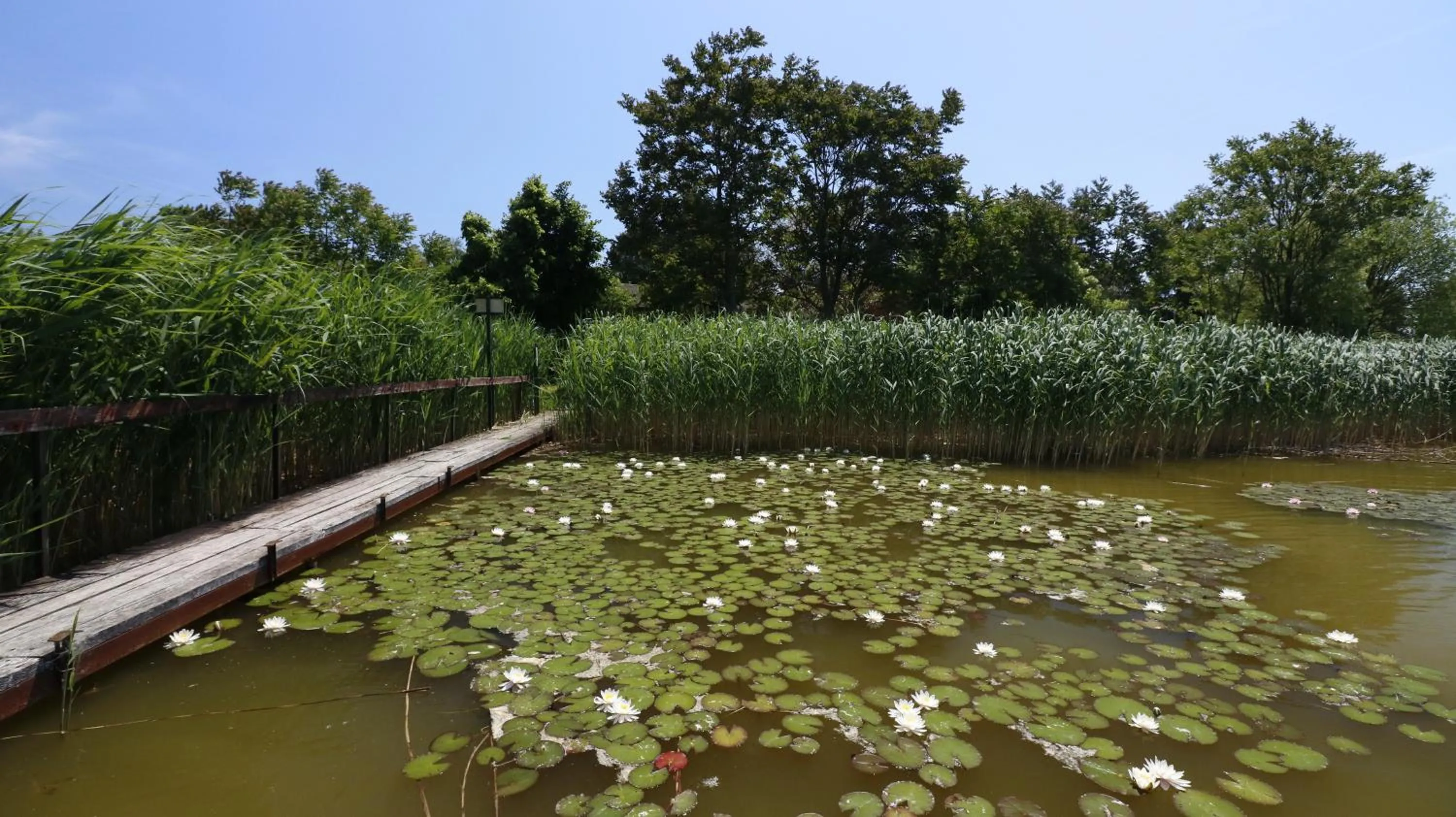 Property building in Anna-Lak