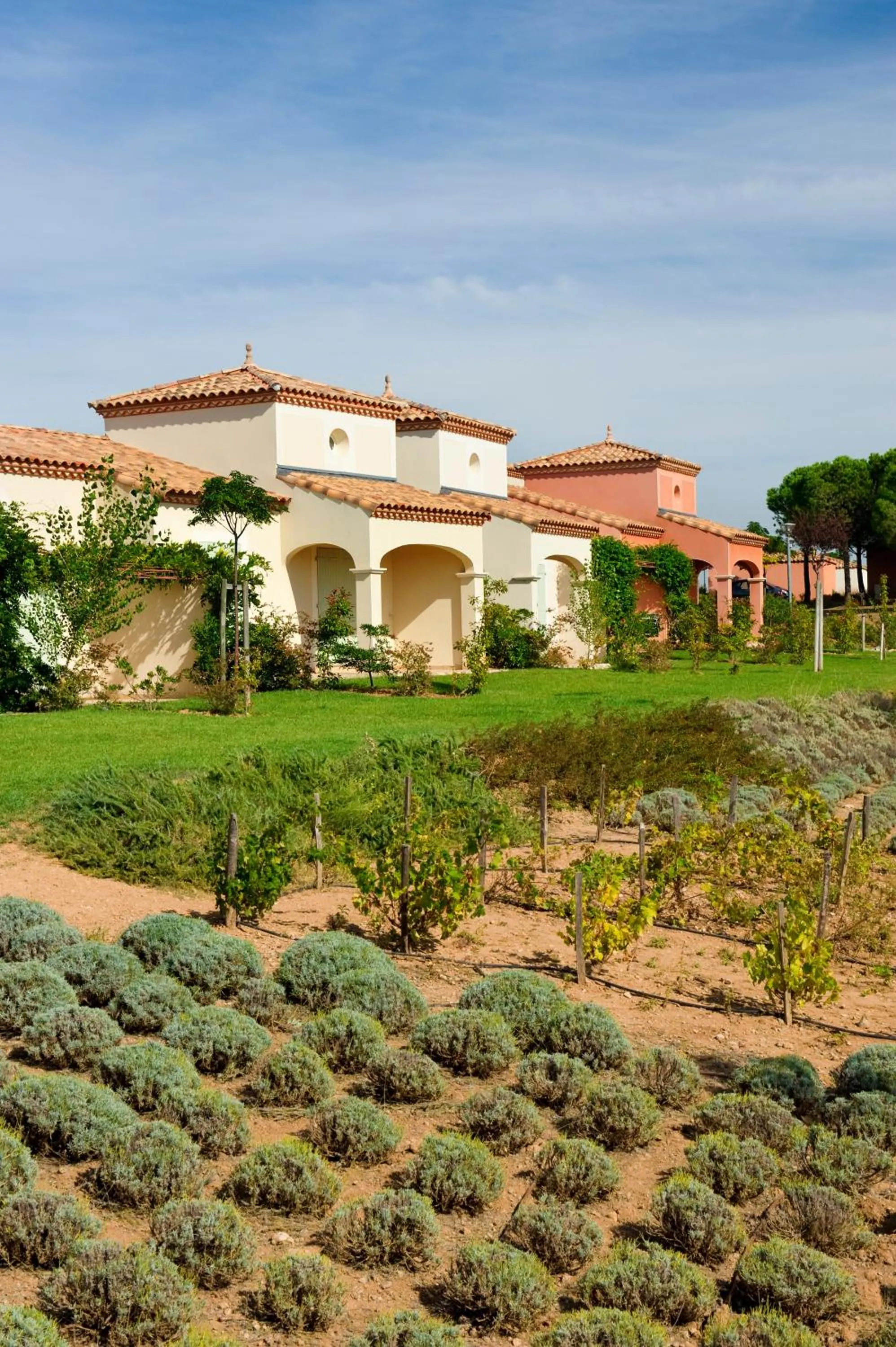 Garden in Vacancéole - Port Minervois, Les Hauts du Lac