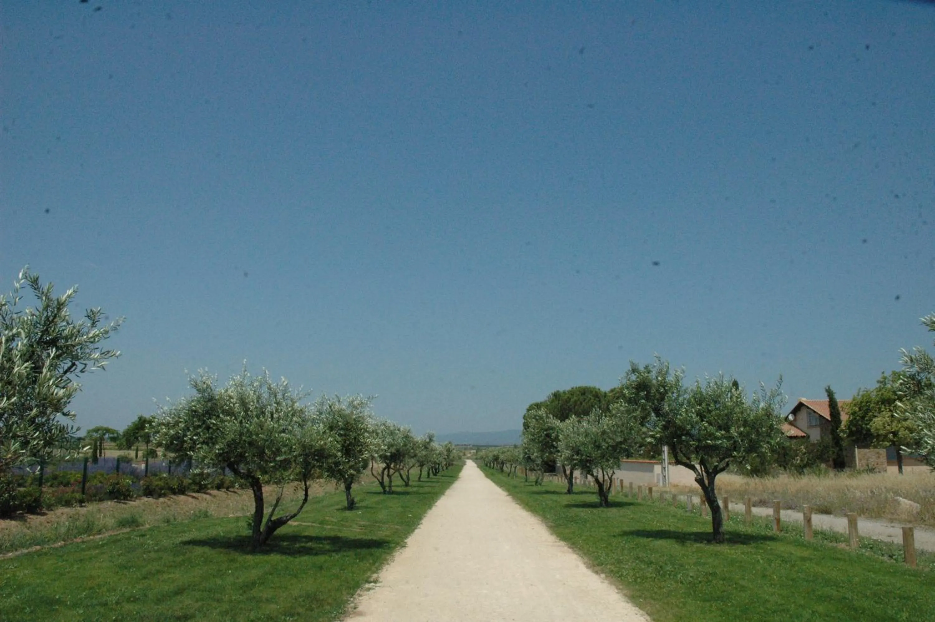 Natural landscape in Vacancéole - Port Minervois, Les Hauts du Lac