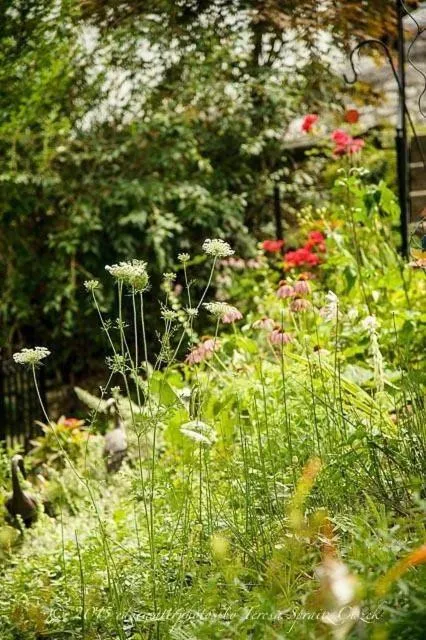 Spring in The Queen, A Victorian Bed & Breakfast