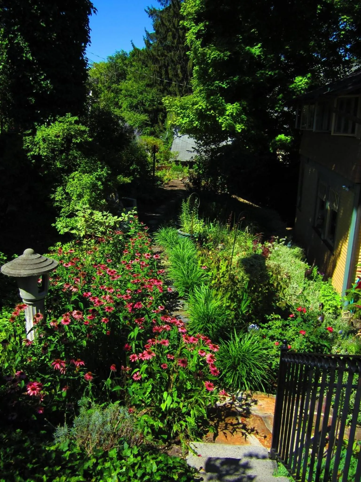 Spring in The Queen, A Victorian Bed & Breakfast