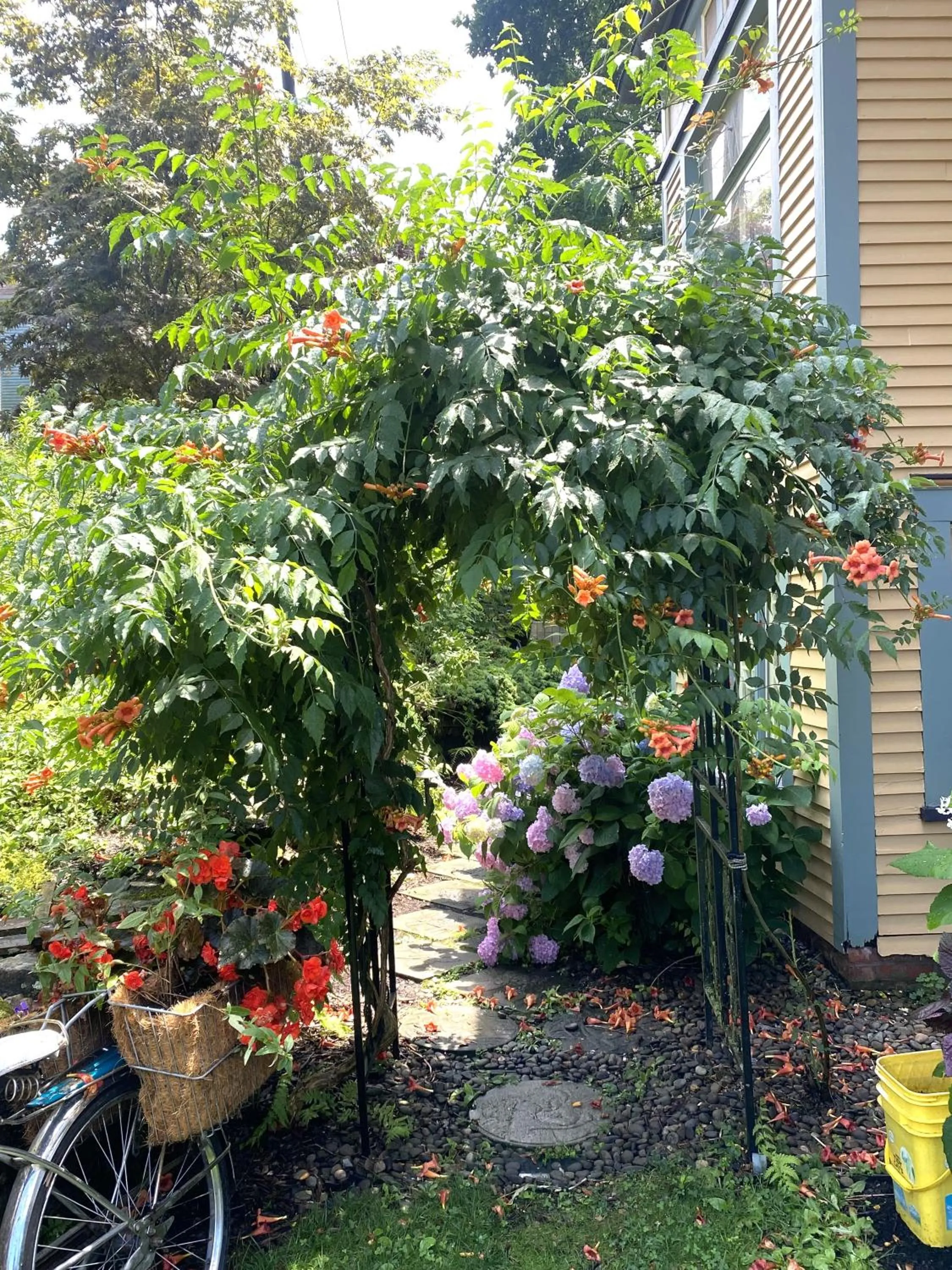 Spring in The Queen, A Victorian Bed & Breakfast