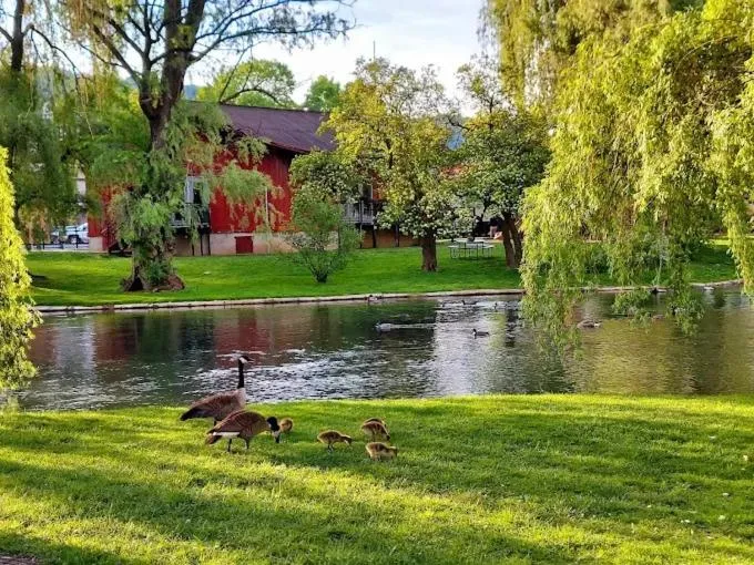 Fishing in The Queen, A Victorian Bed & Breakfast