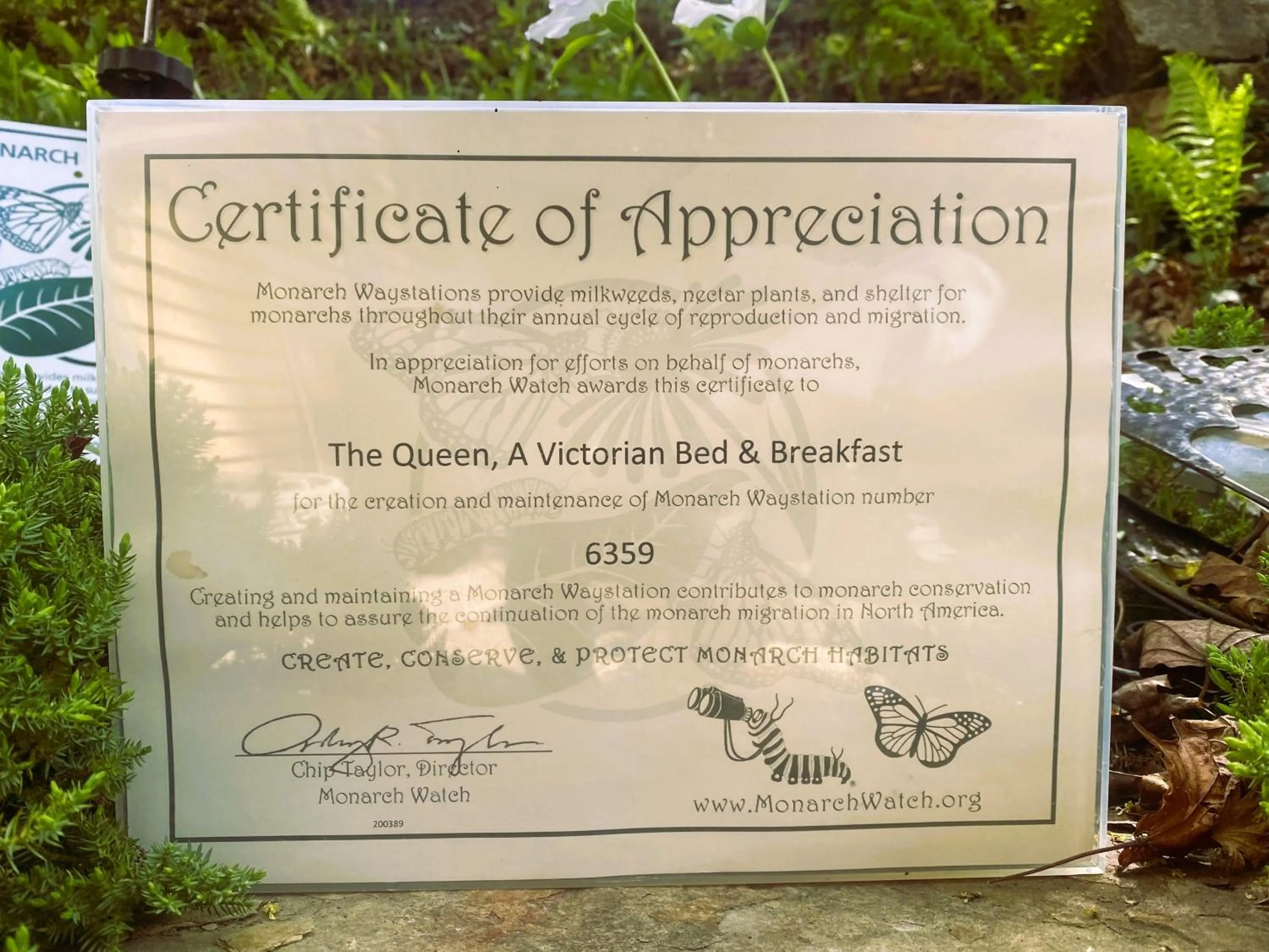 Certificate/Award in The Queen, A Victorian Bed & Breakfast