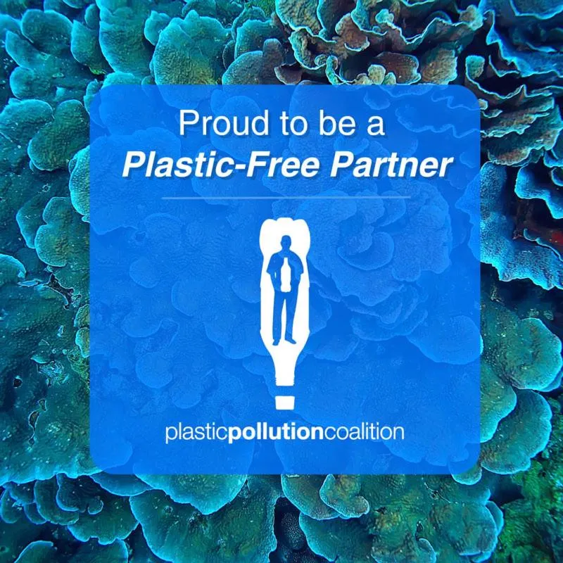 Certificate/Award in The Queen, A Victorian Bed & Breakfast